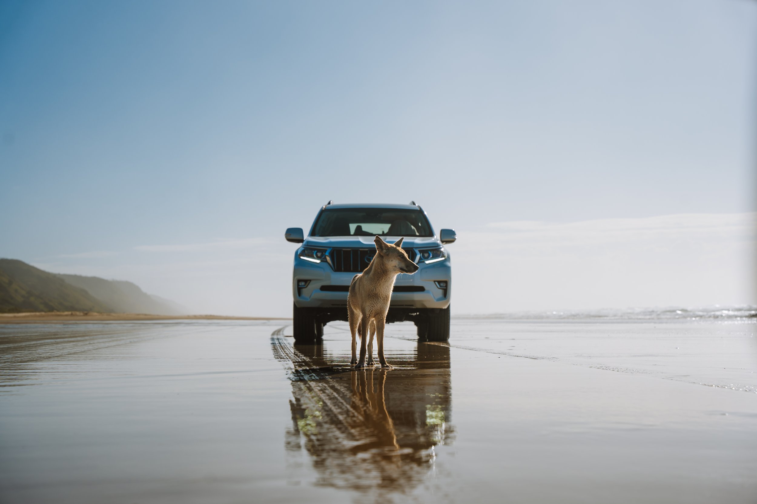 Fraser Tours x Nowhere Bound