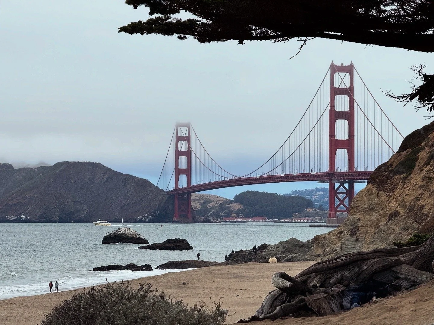 View of the Golden Gate Bridge in San Francisco, taken from a sandy beach with rocks and trees in the foreground, and fog partially obscuring the bridge towers.