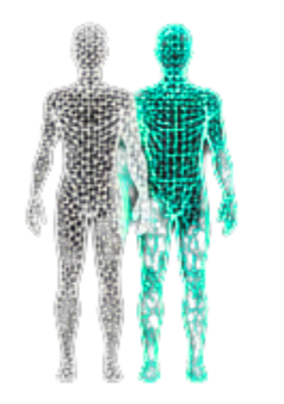 Digital visualization of two human figures with augmented internal structures, one in shades of gray and the other in shades of blue, illustrating medical or anatomical data.