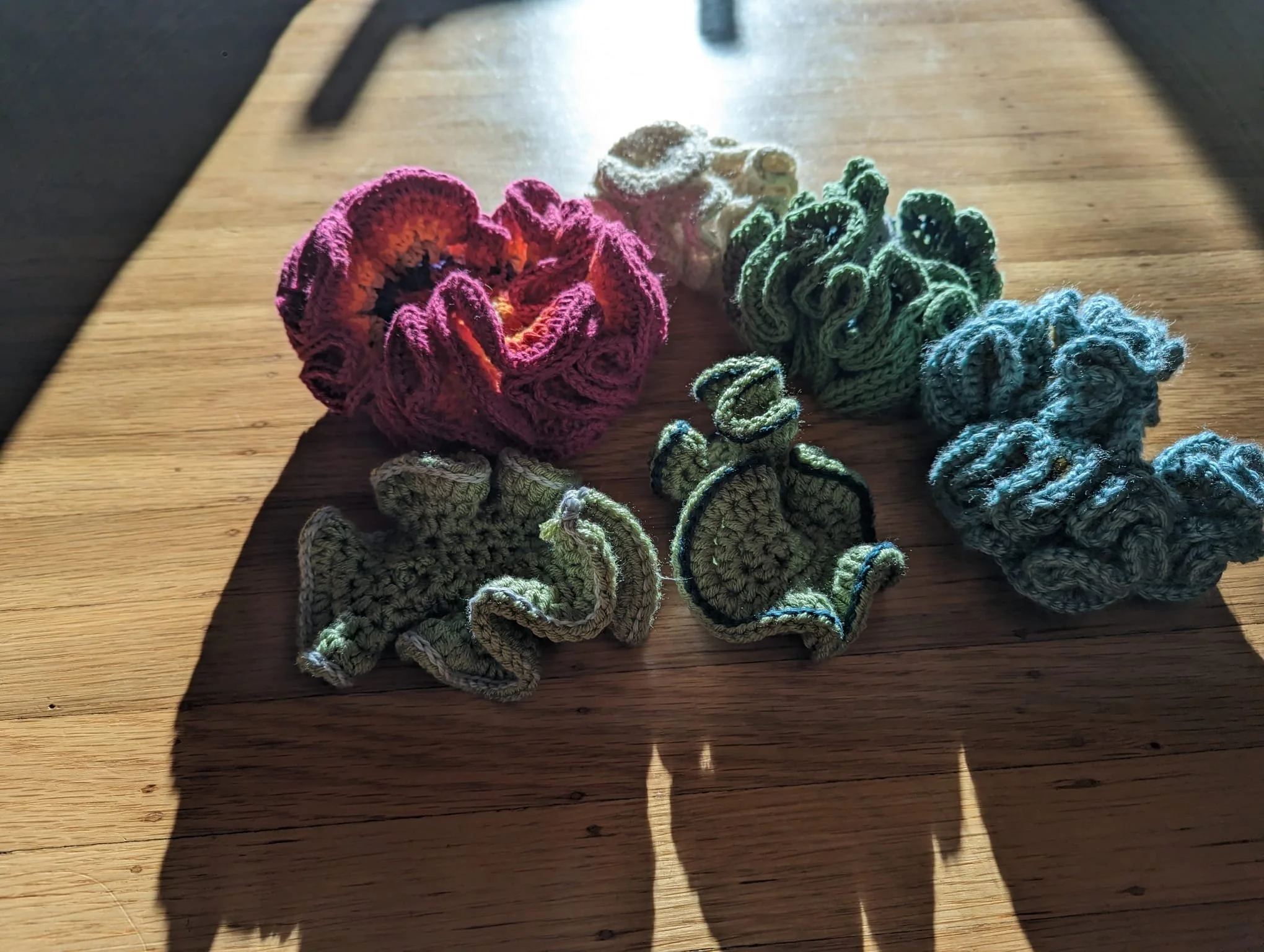 PHOTO-2025-12-16-13-56-27 5.jpg