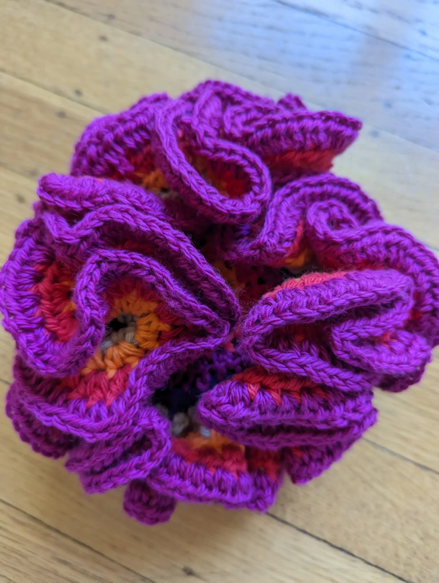 PHOTO-2025-12-16-13-56-26 4.jpg