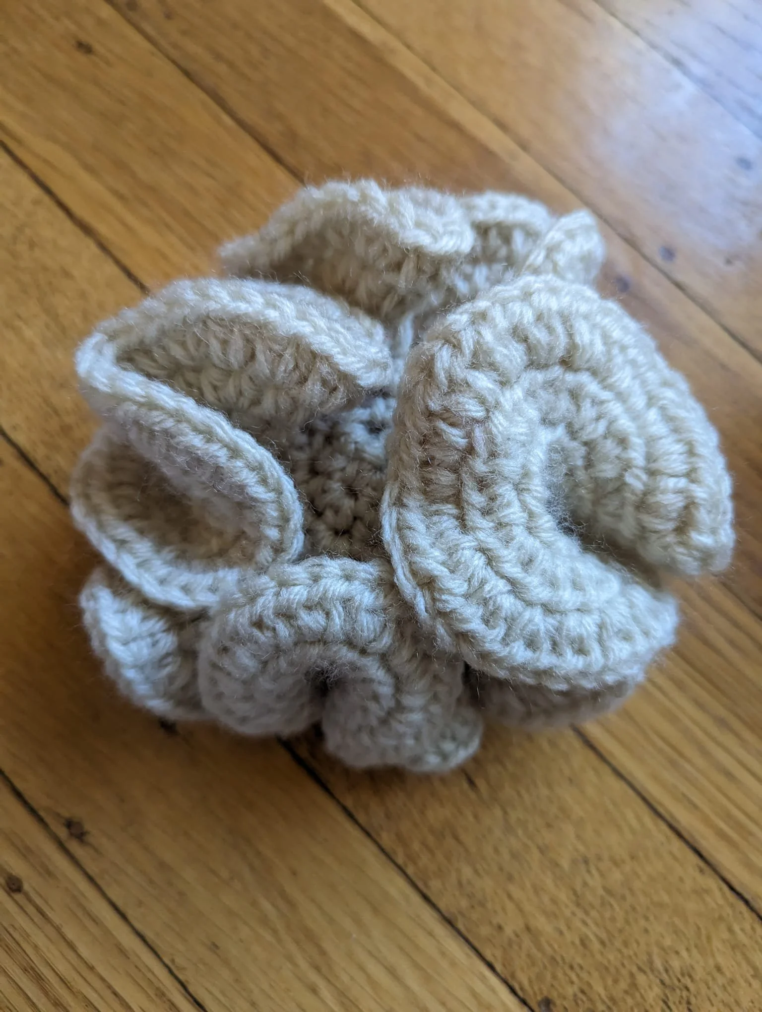 PHOTO-2025-12-16-13-56-27 3.jpg