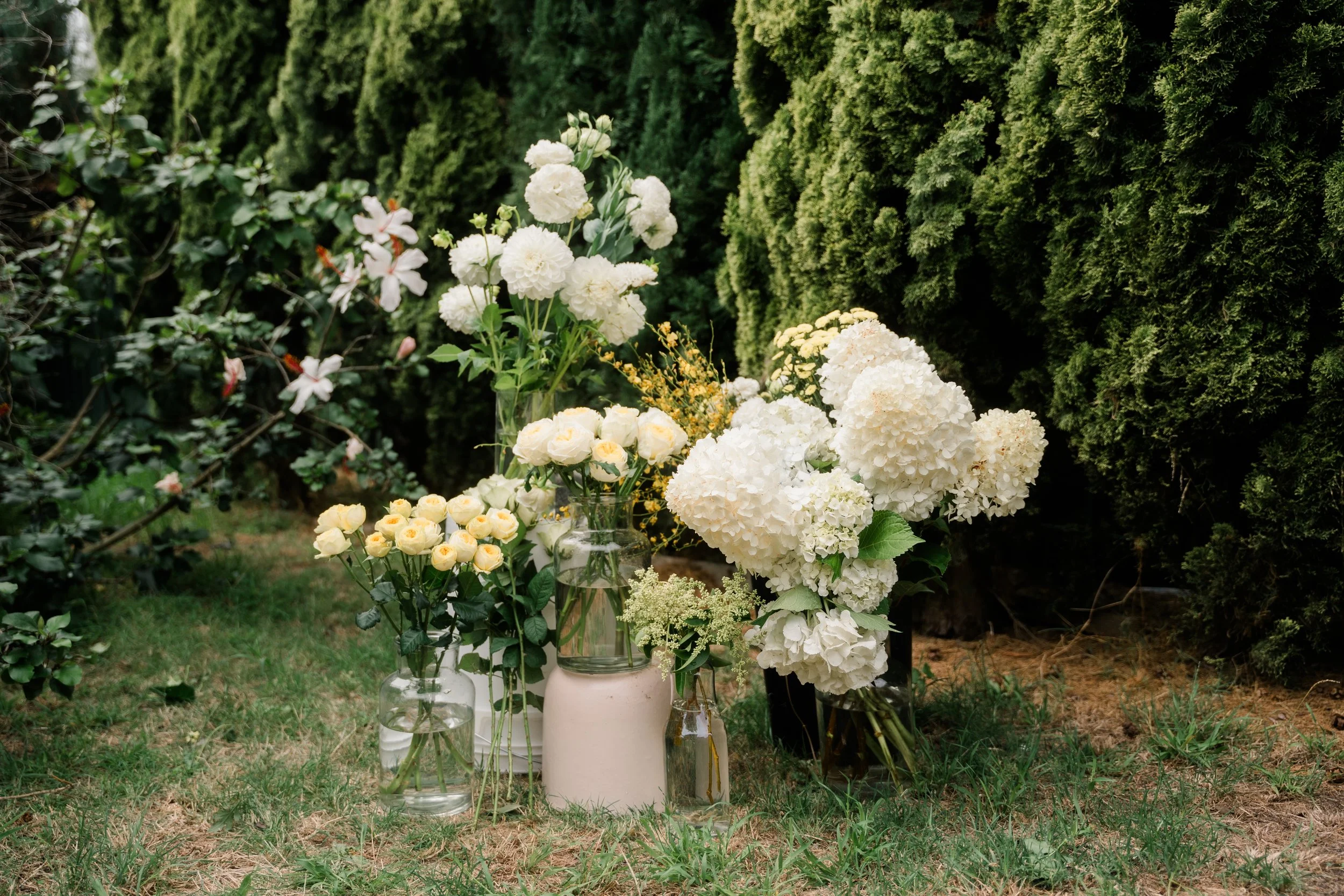 Aboreal_Flora-44.jpg