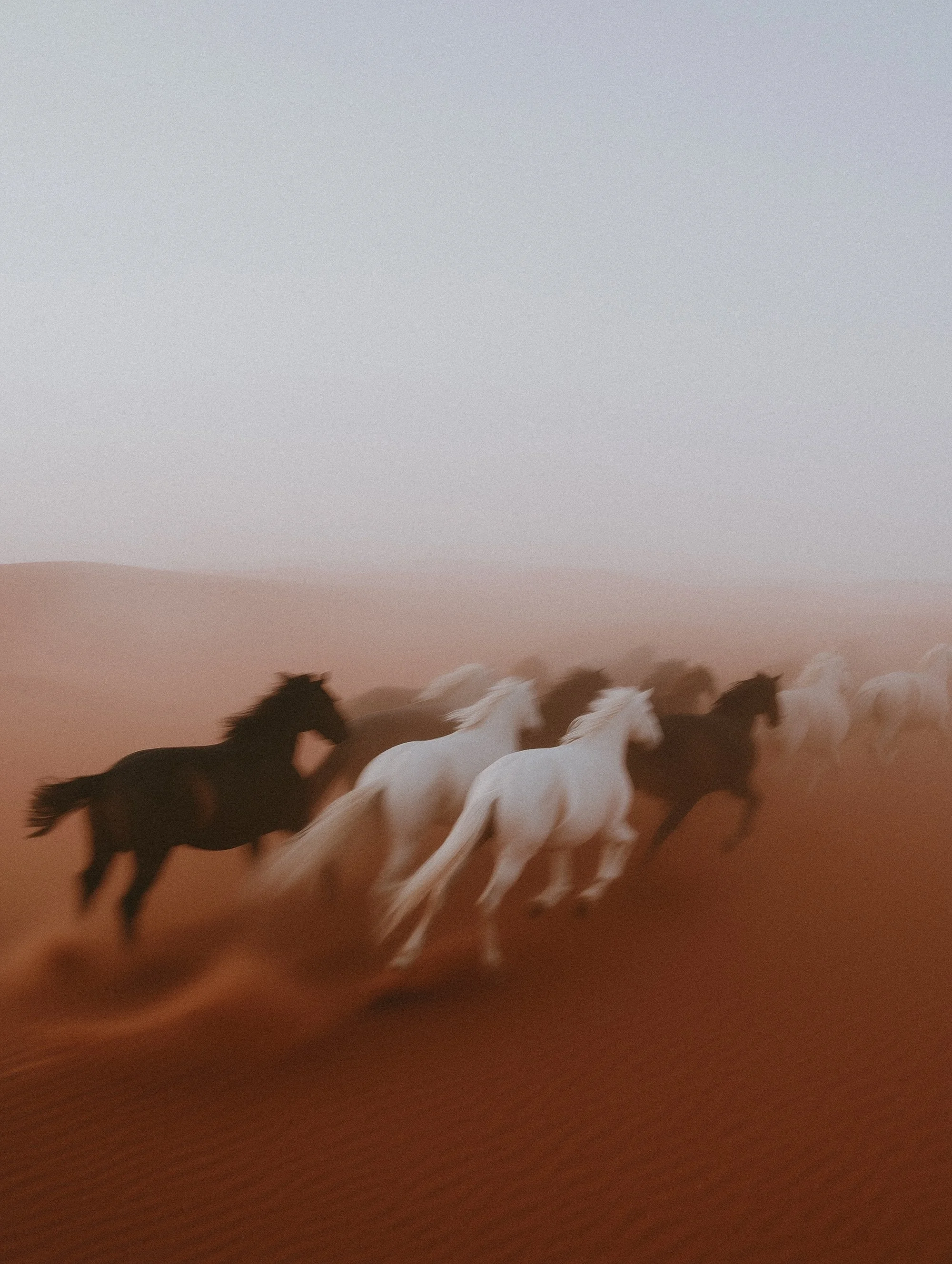 Horses running on red sand in a desert, blurred motion.