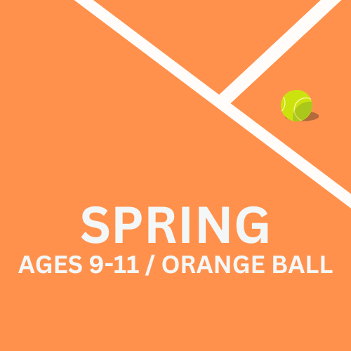 Orange Ball Lessons