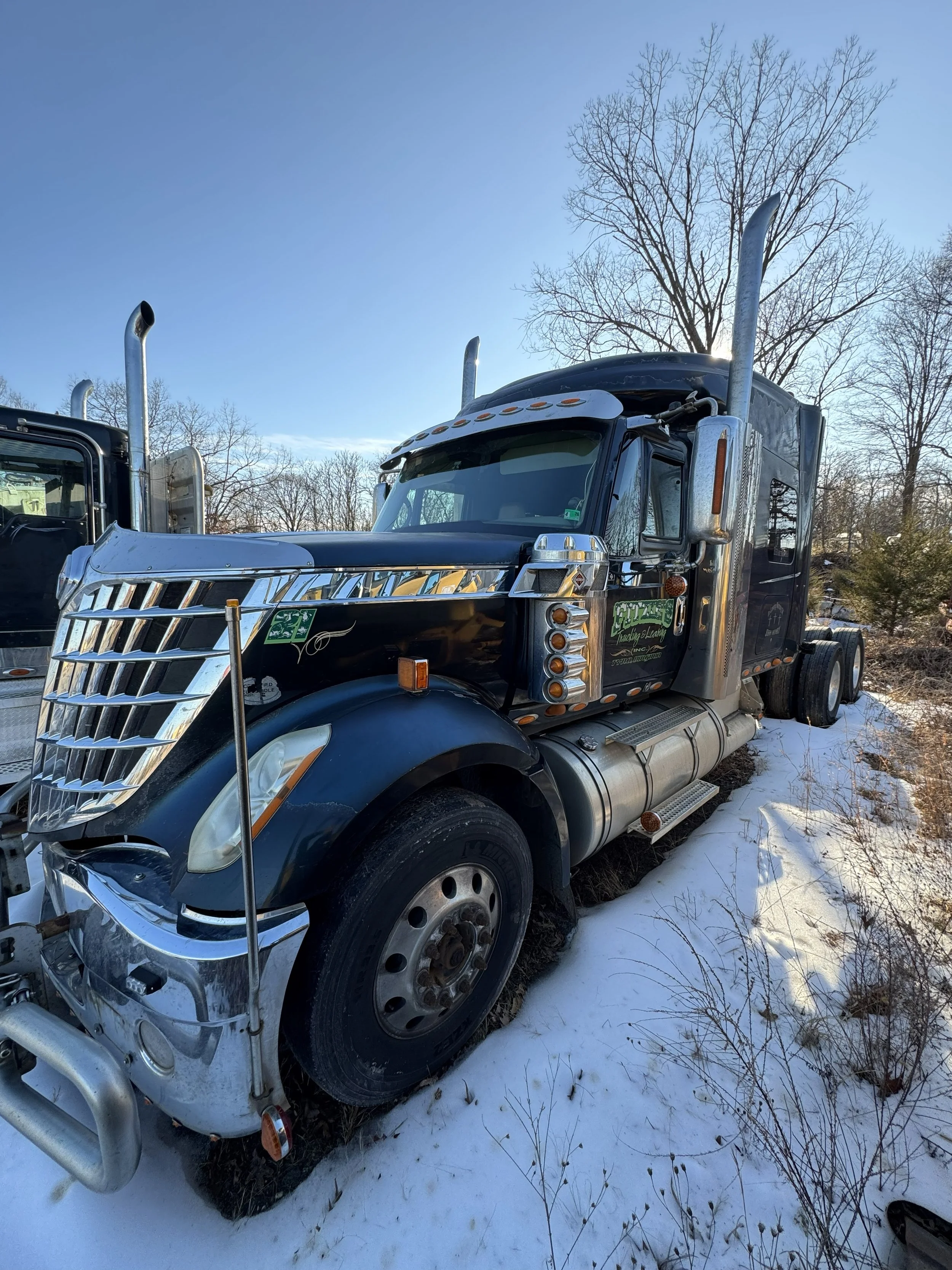 2008 International Lonestar