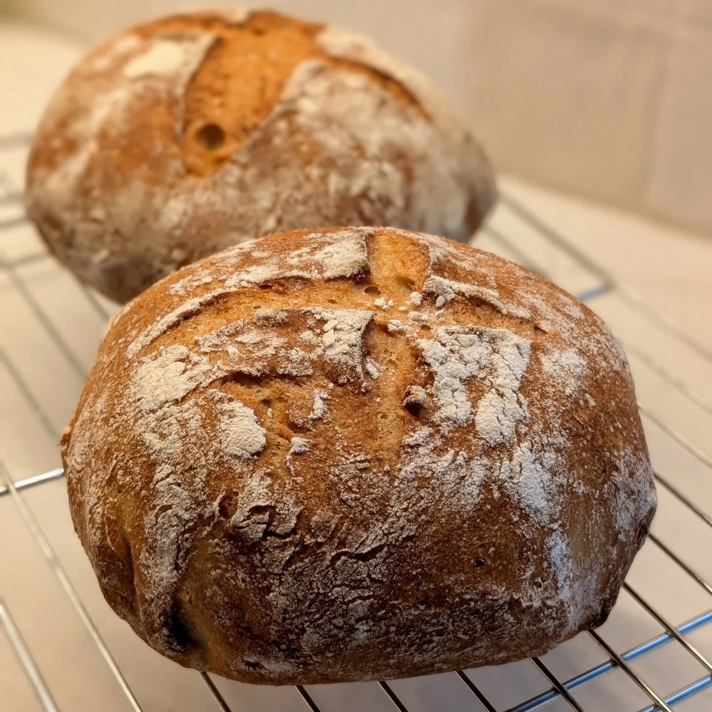Gluten semsitive artisan bread, fresh out of the oven and headed to @farmsouth_ this morning 🤤