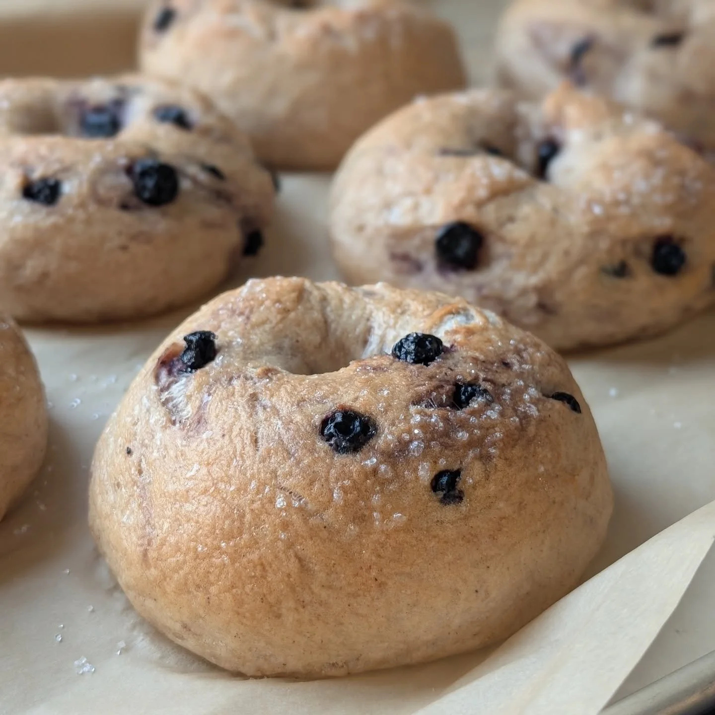 Fresh drop at @farmsouth_ this morning! Fresh bagels + bread, lemon layer cakes 🍋, orange scones 🍊, oatmeal creme pies (my personal favorite!!), triple chocolate chip cookies, salted toffee chocolate chunk cookies 🍪, blueberry streusel muffins 🫐,
