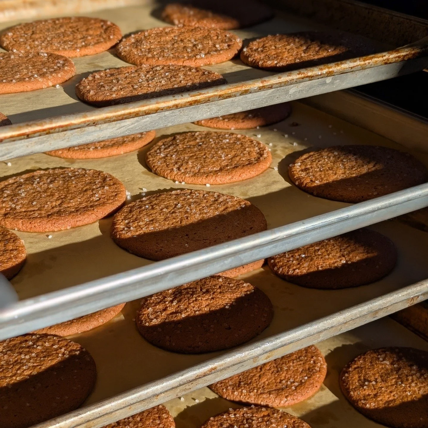 Got the sweetest message from a customer today that made our day! Just had to share ❤️ " I absolutely LOVE your products!! We discovered them at Farm South a couple weeks ago. Esp the bagels and the pecan shortbread cookies (this might be my mos