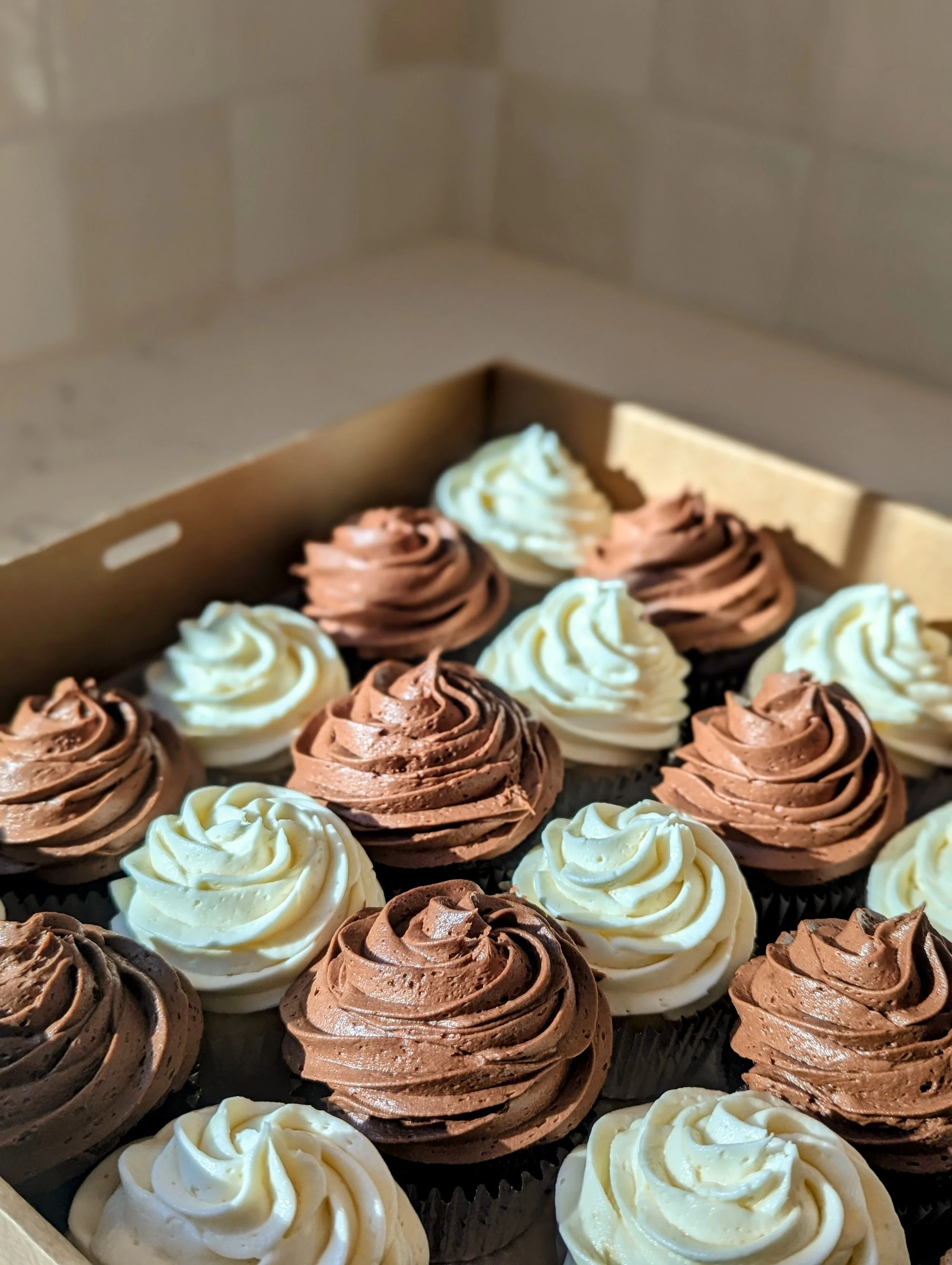 classic choc + vanilla cupcakes 1doz