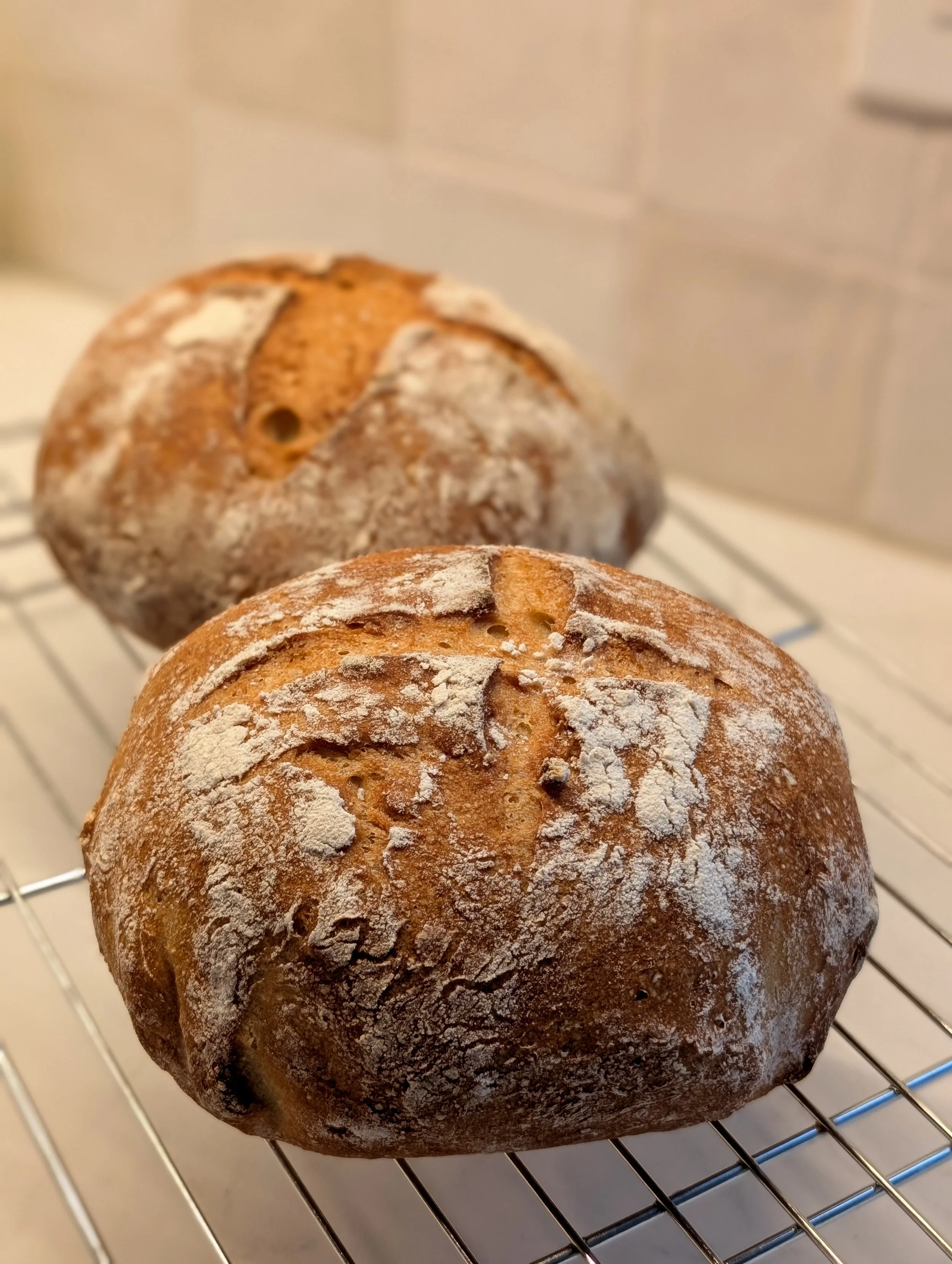 bread_round artisan.jpg