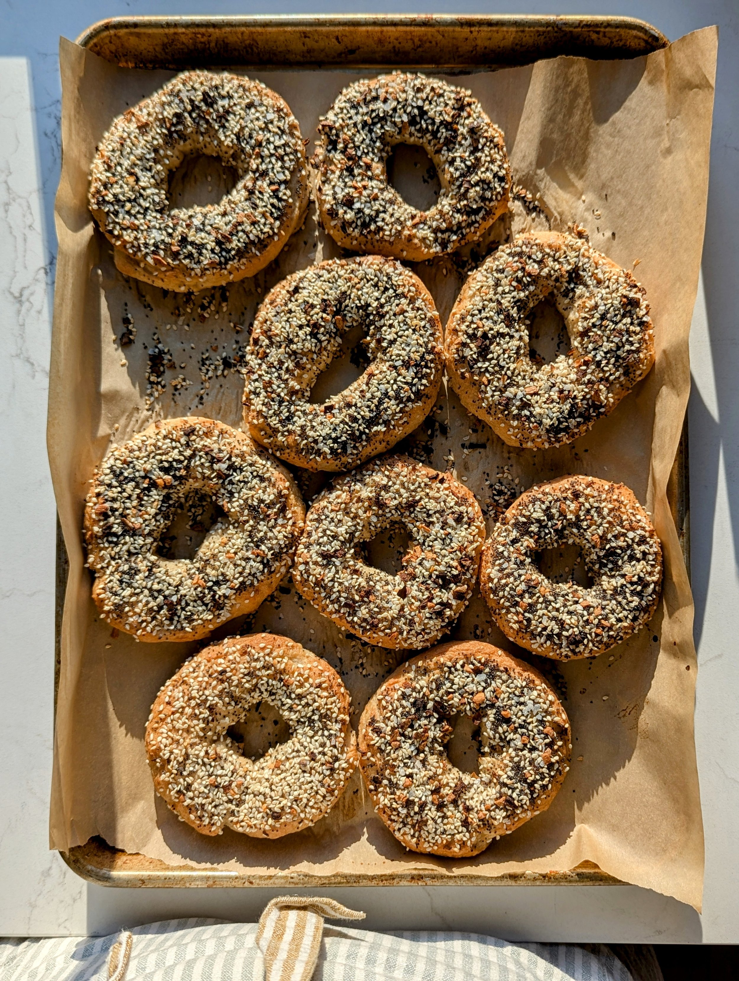 bagels_everything (1).jpg