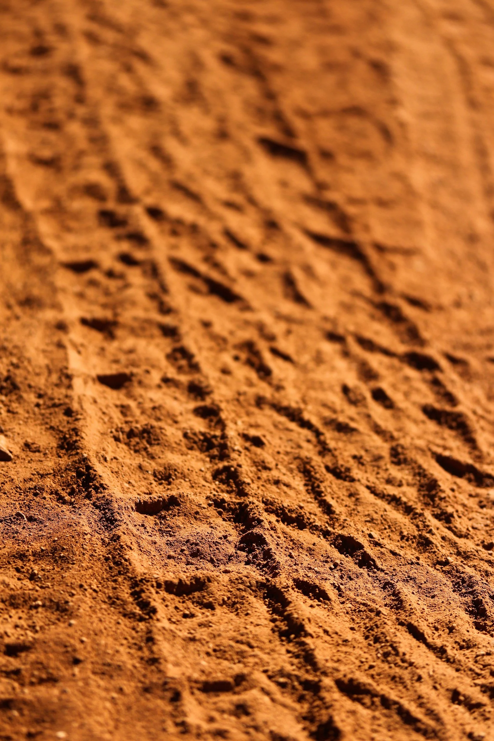 Close-up of reddish-brown textured soil with tire tracks.
