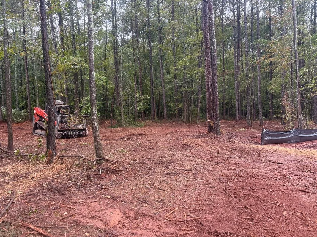 Cleared forest ground with a small orange and black machine on the left and a black plastic pipe on the right.