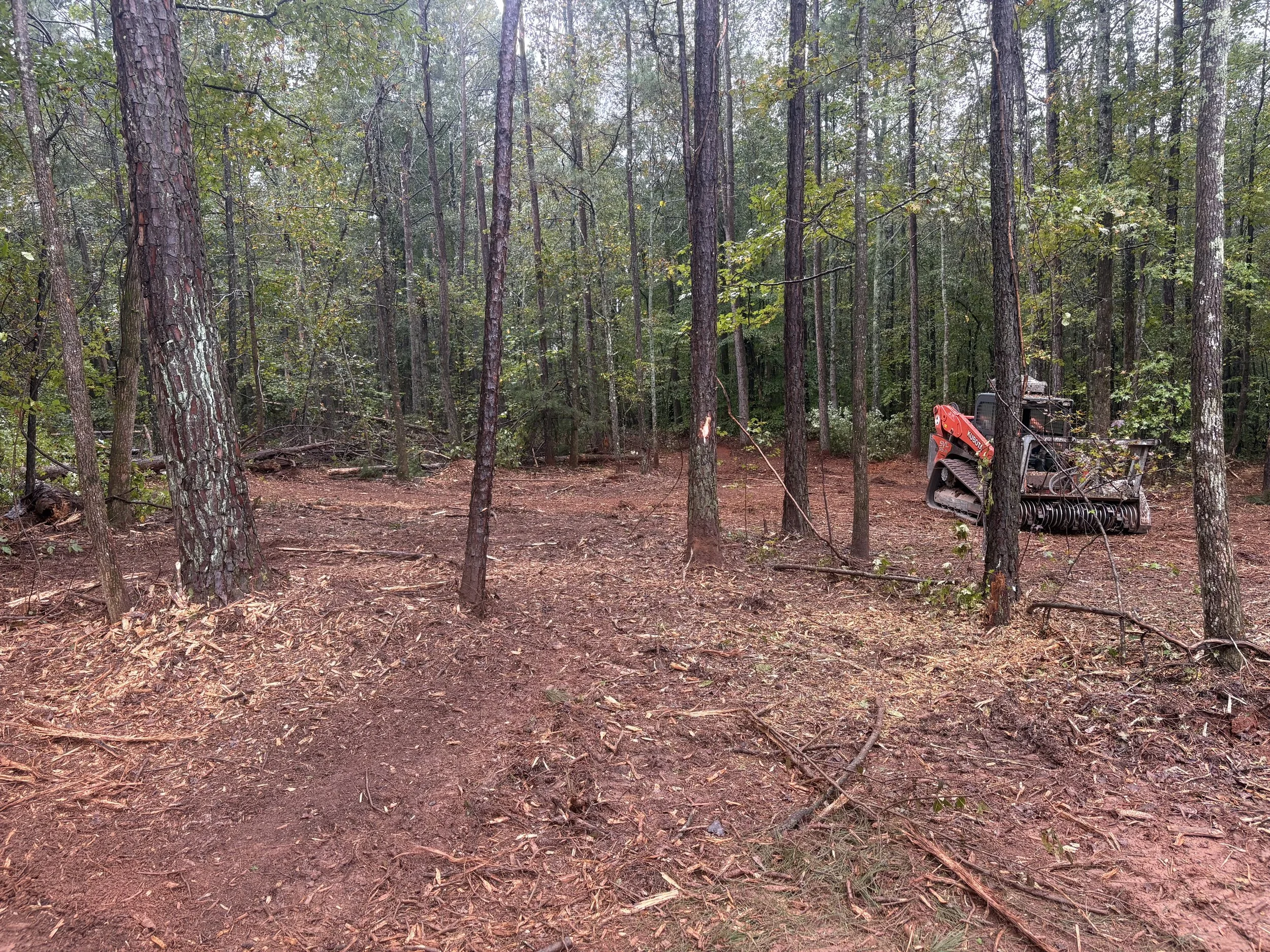 A small track cleared in a wooded forest with trees and a bulldozer on the right side.