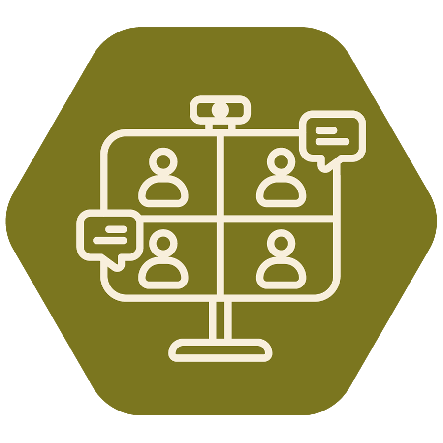 Icon of a virtual meeting