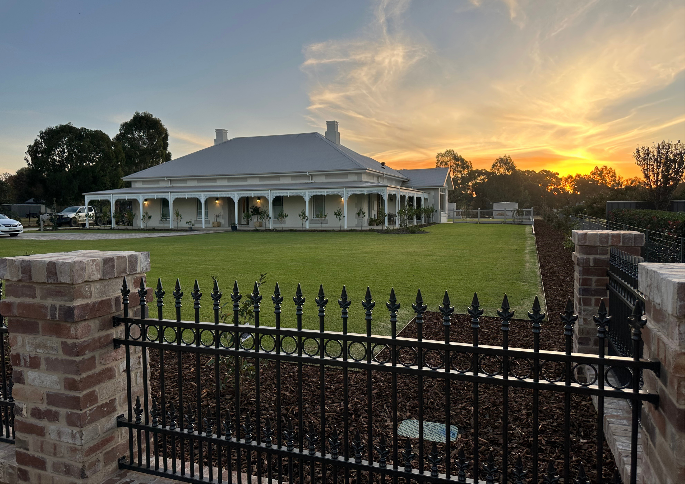 An image of the Plane Tree.