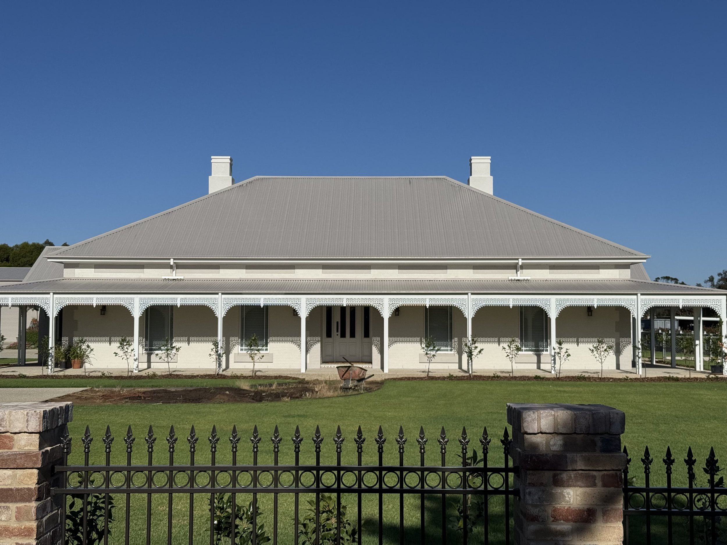 An image of Plane Tree.