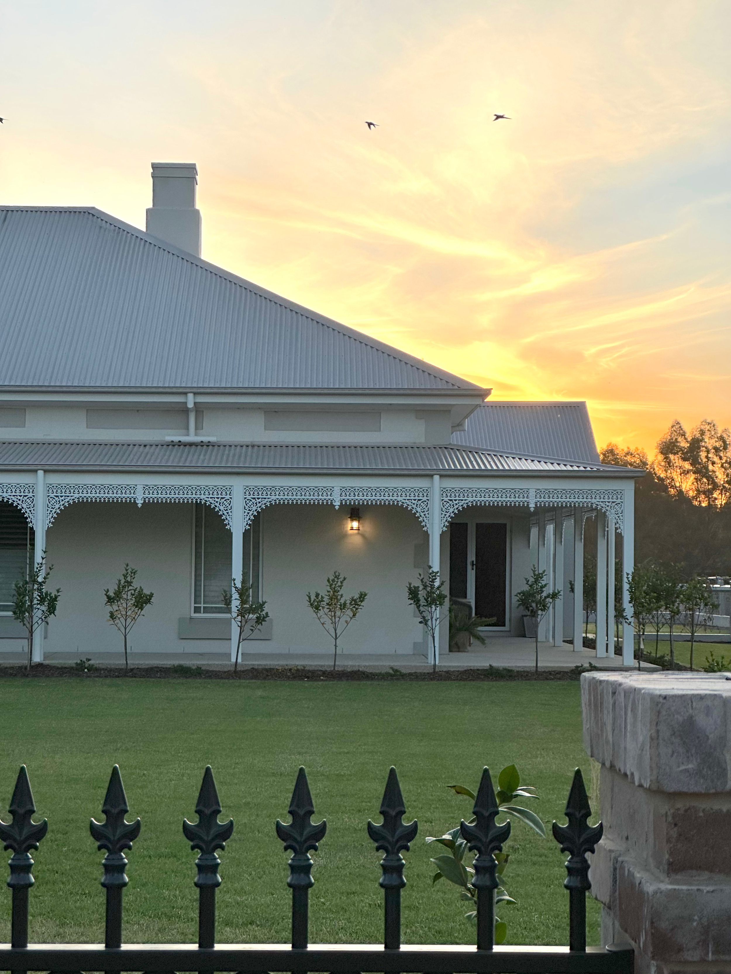 An image of Plane Tree.