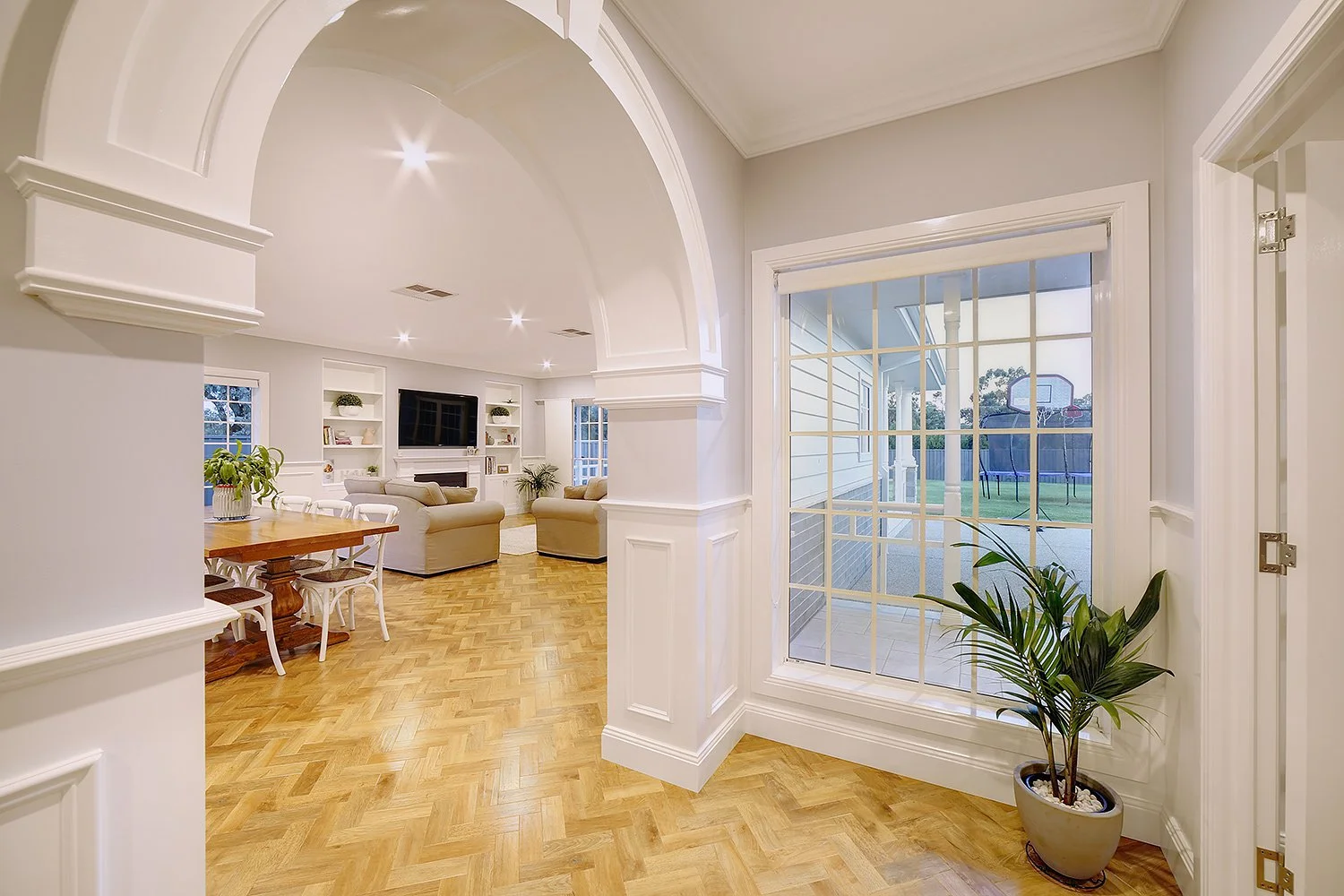 An image of Plane Tree.