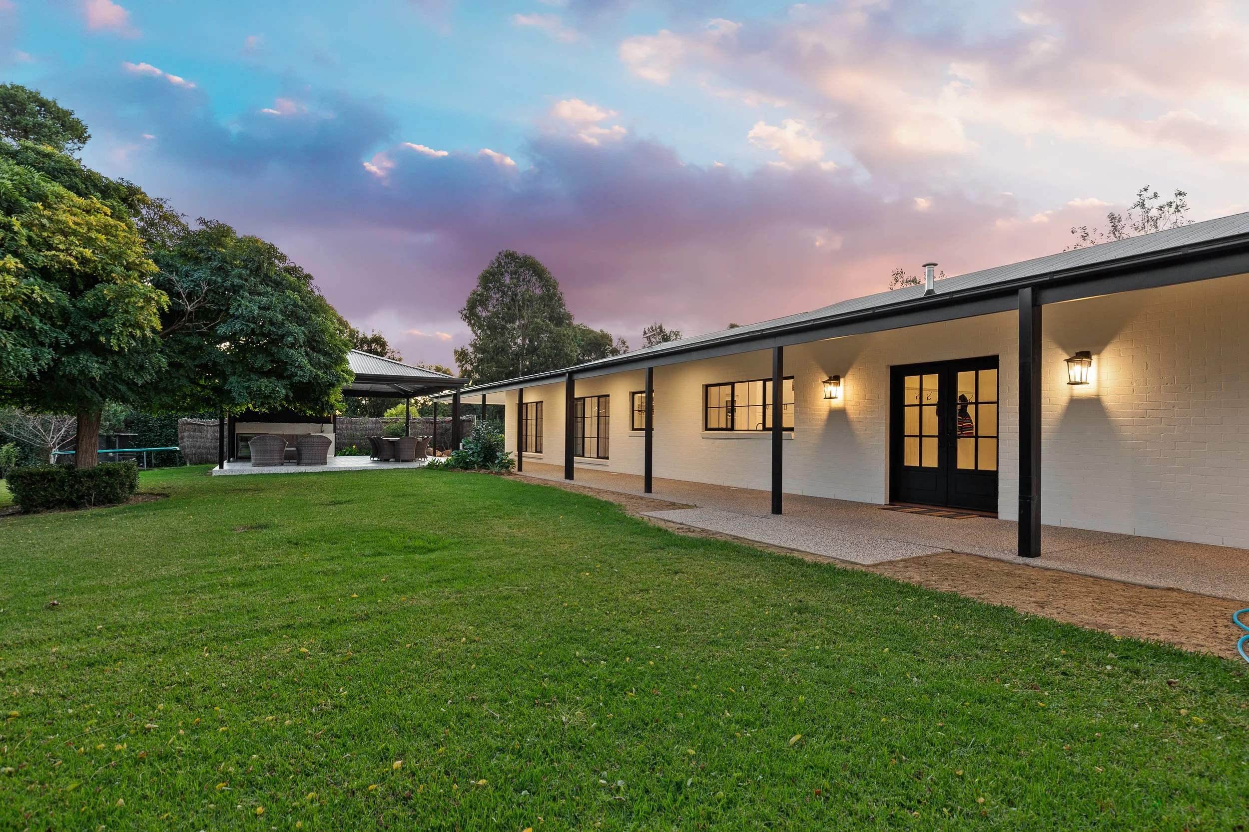 An image of the Plane Tree.