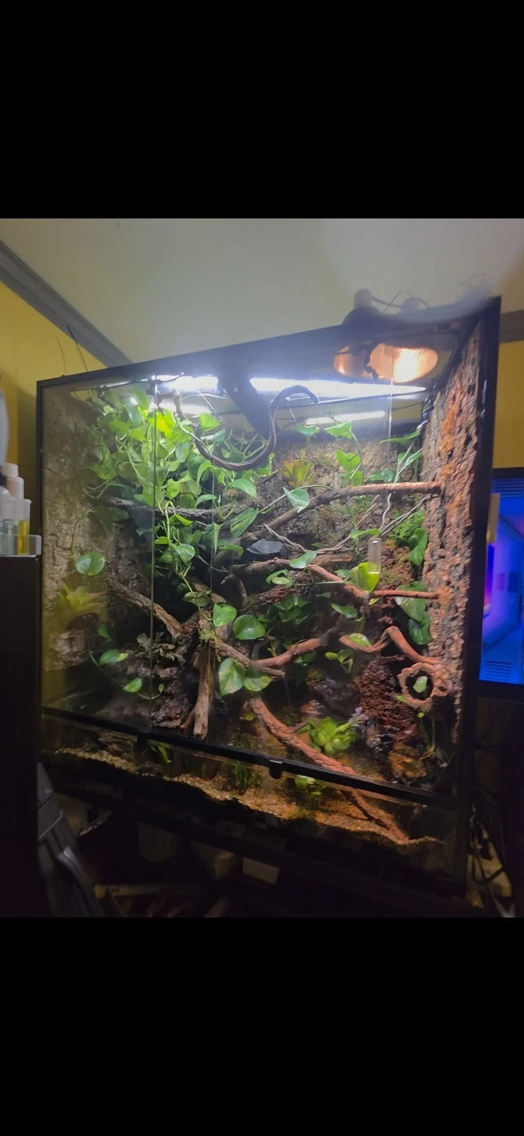 RandyLahey_Enclosures.jpg
