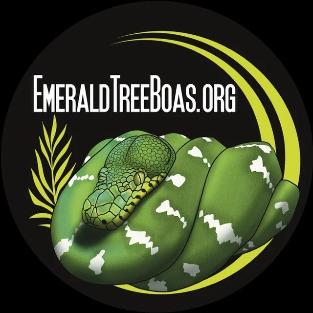 We have a logo and we are so excited to finally share it! 

This is the official logo for EmeraldTreeBoas.org and it could not have turned out better!

An Emerald Tree Boa coiled up exactly how we picture them, bold, clean, and immediately recognizab