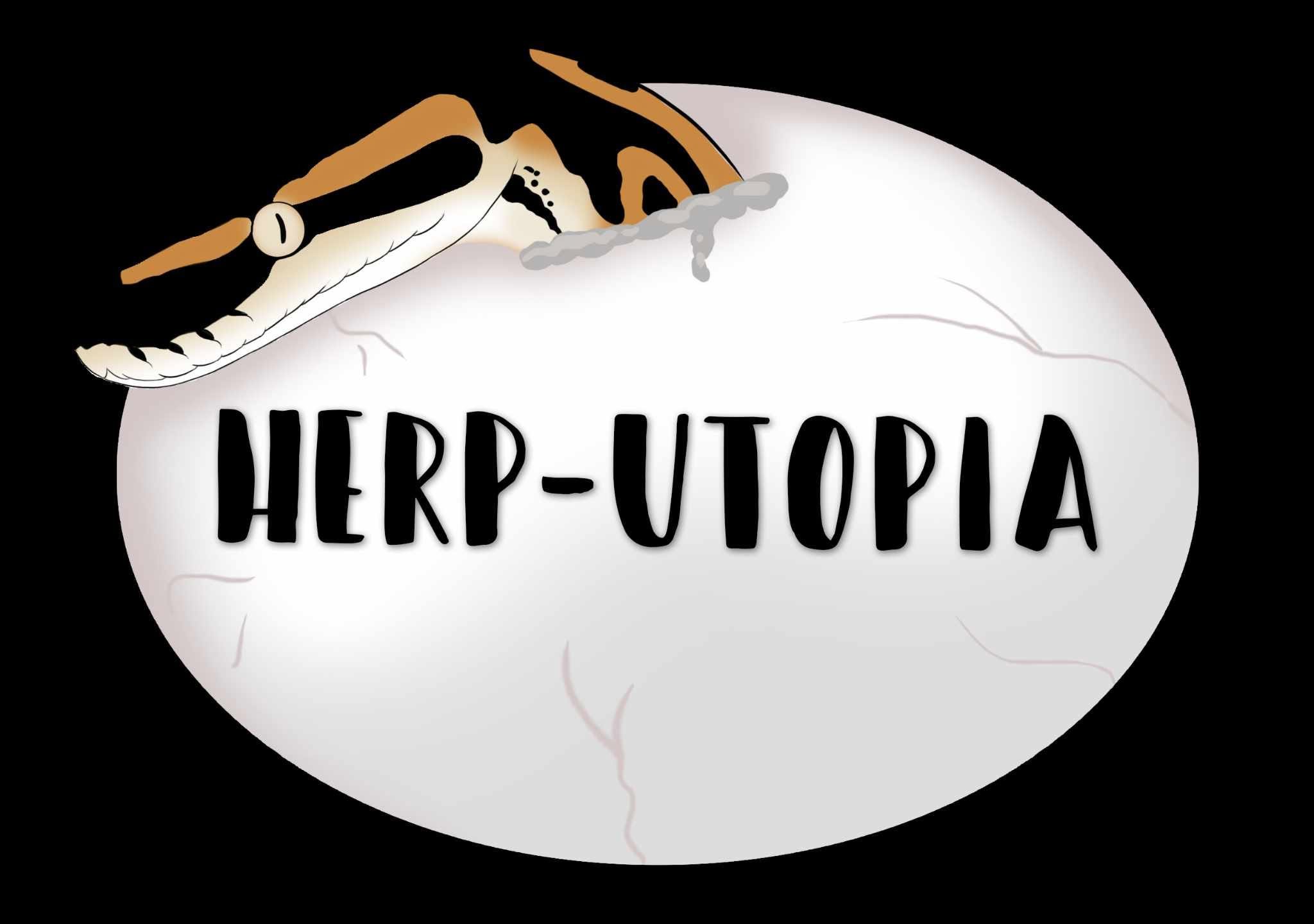 Breeder: Herp-Utopia, Portugal, Netherlands, & Germany Northern Emeralds
