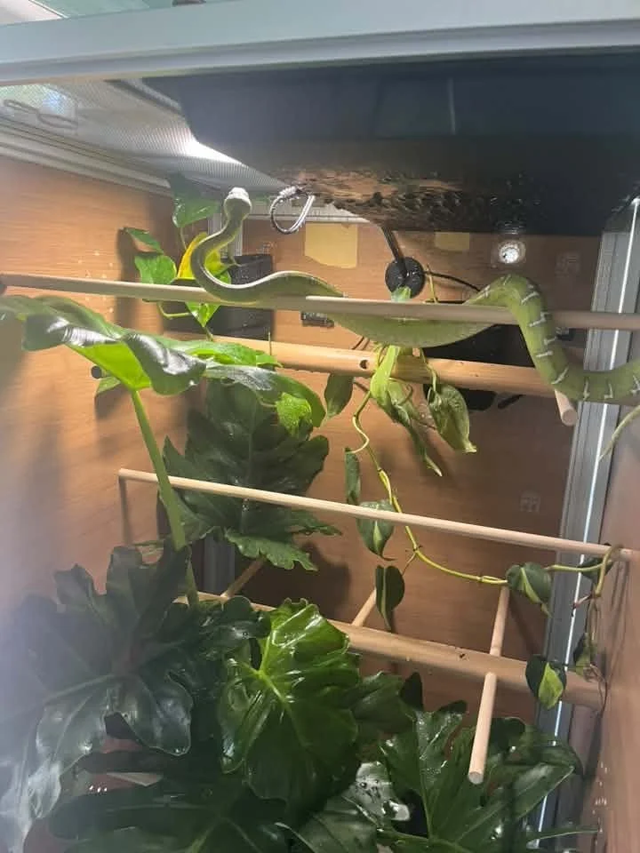 WilliamChapman_Enclosures.jpg
