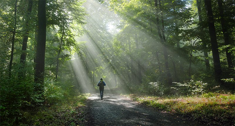 Lyfe with a Why can help you find your own path with clarity and purpose