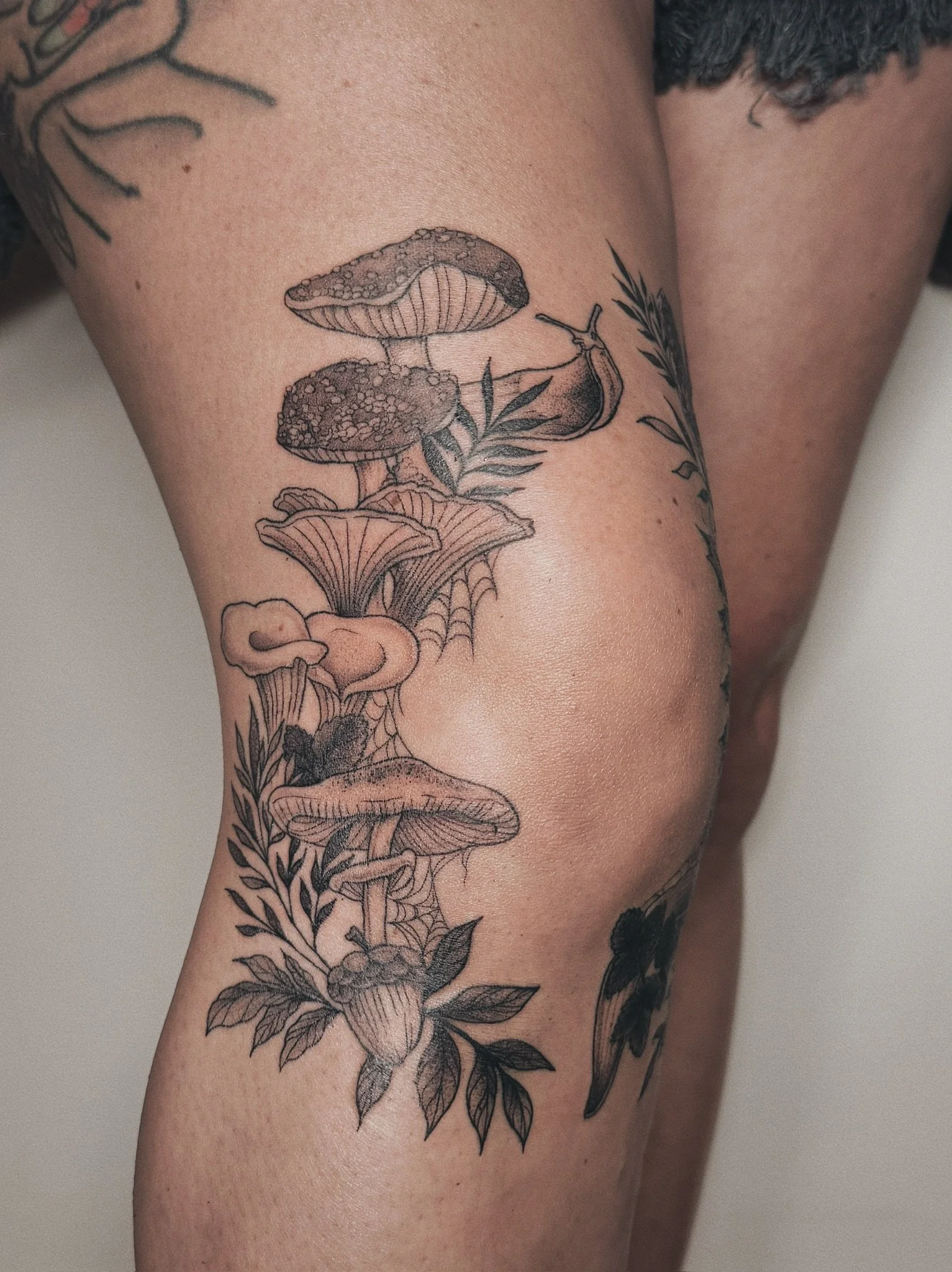 dotwork tattoo of a collection of mushtrooms, slugs, leaves, fauna, wildlife and plants circles around a knee
