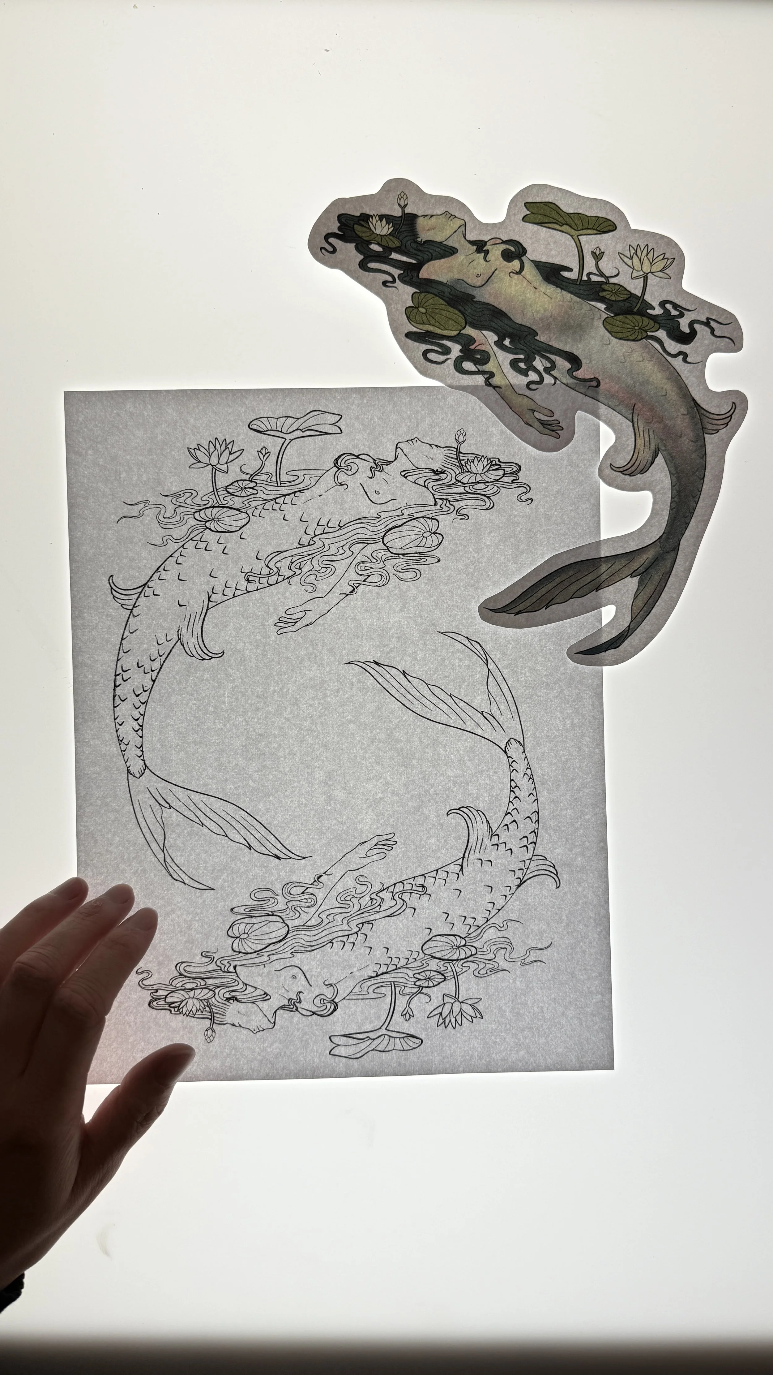 A person holds a sheet of tracing paper with a black and white drawing of a siren or mermaid and lotus flowers. A colorful siren or mermaid cutout is positioned above the tracing paper, aligned with the drawing.