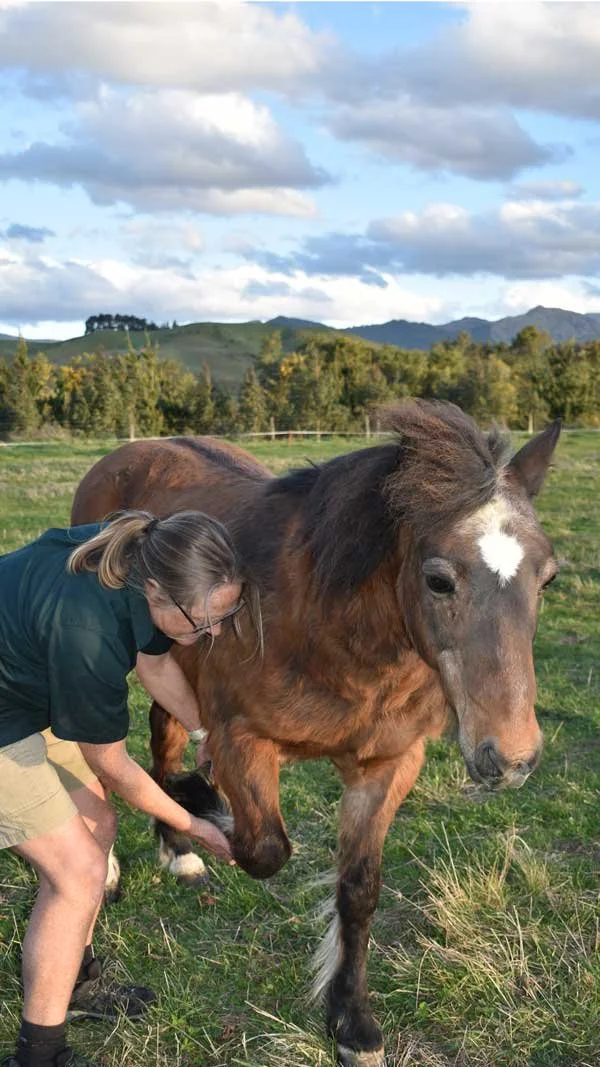 Trish helping a small horse or pony with a dark mane and a white nose patch onto its back in a grassy field, with mountains and cloudy sky in the background.