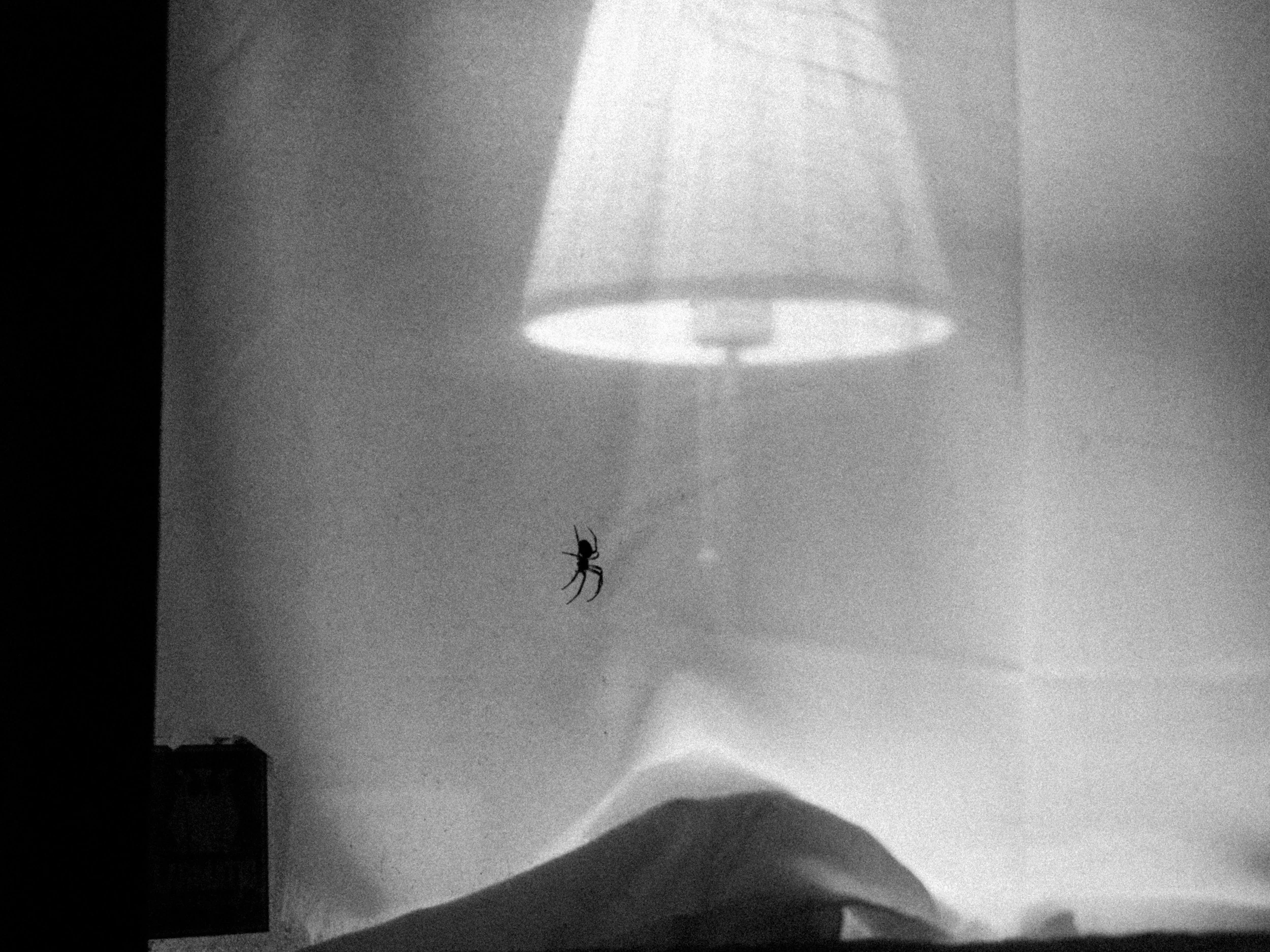 A black and white photo of a spider hanging from a thread in front of a lampshade and a wall.