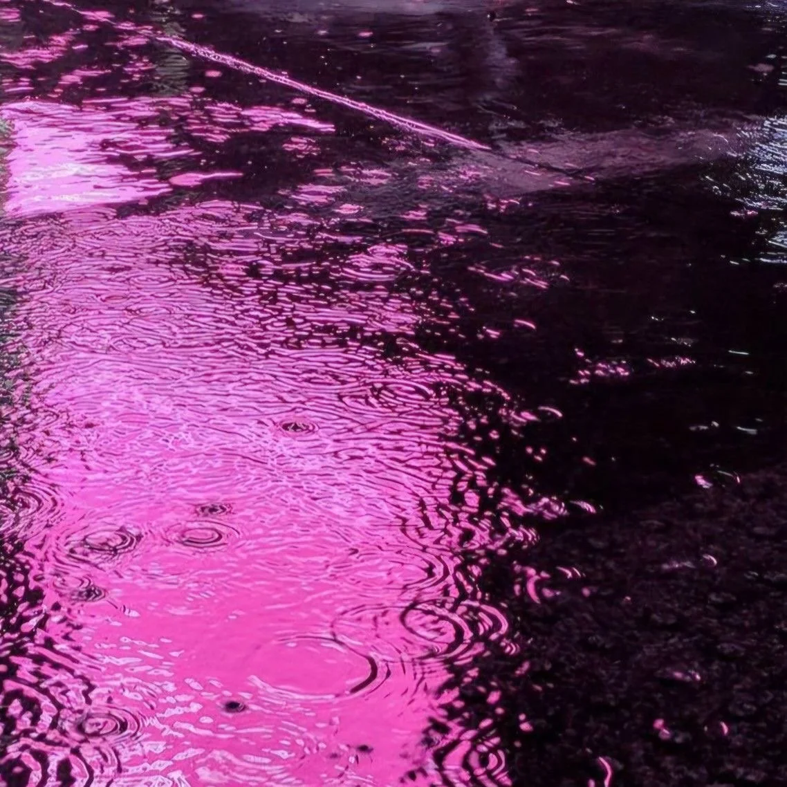 Close-up of water reflecting pink and purple lights with ripples and raindrops.