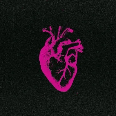 A neon pink illustration of a human heart on a black background.