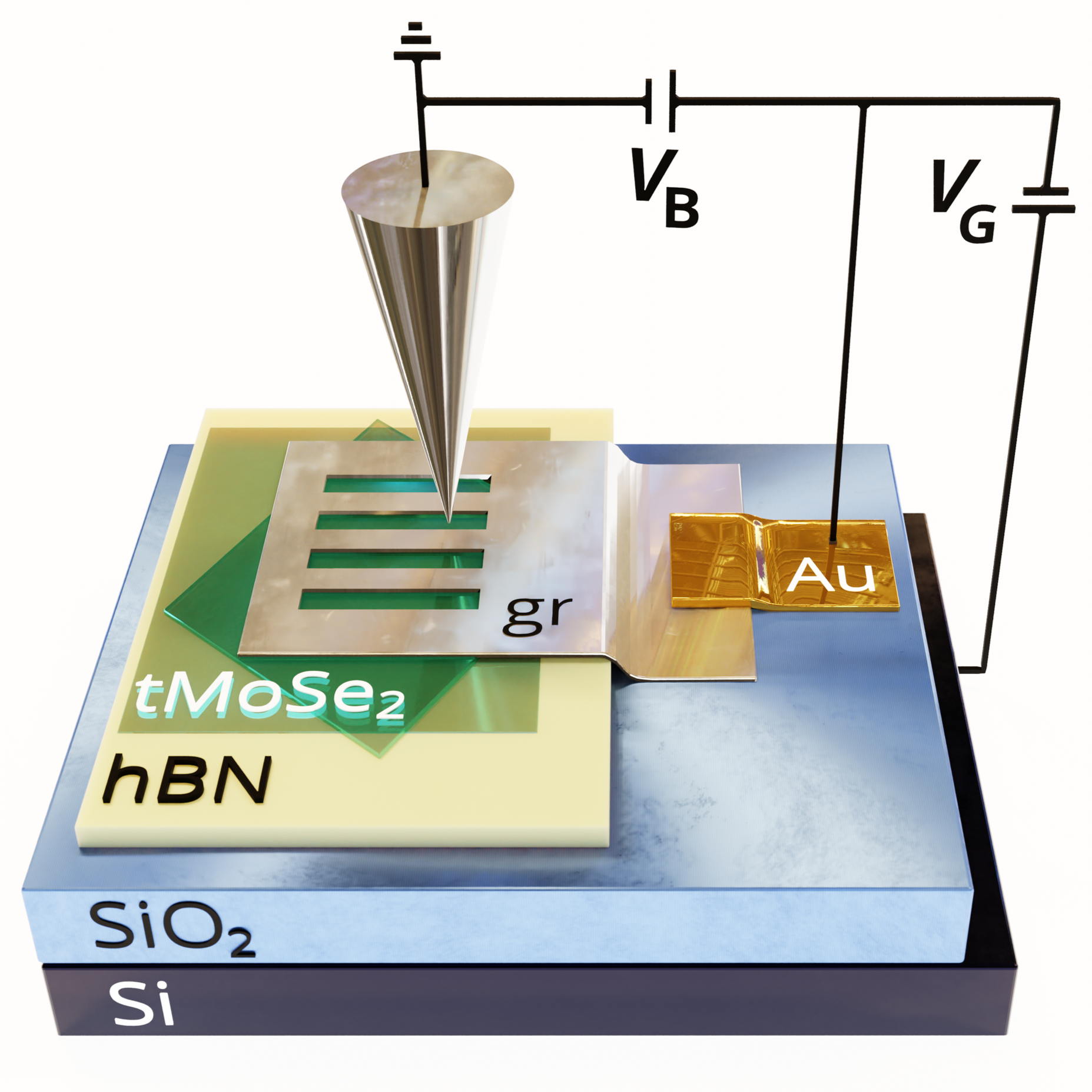 Schematic of a basic twisted MoSe2 device with a Si back-gate for STM investigation.
