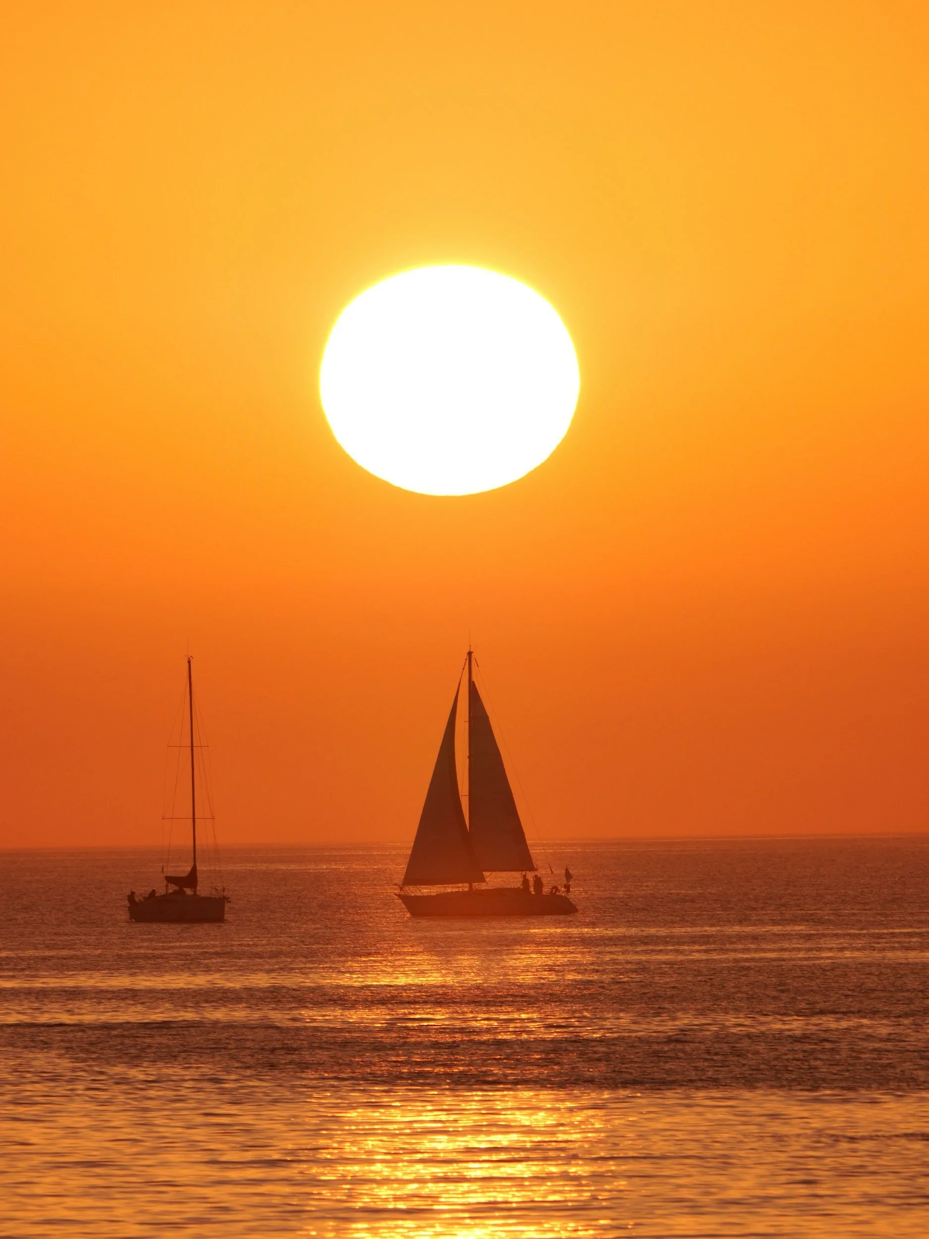 Silhouetted sailboats on calm ocean water during golden sunset with large sun in the sky.