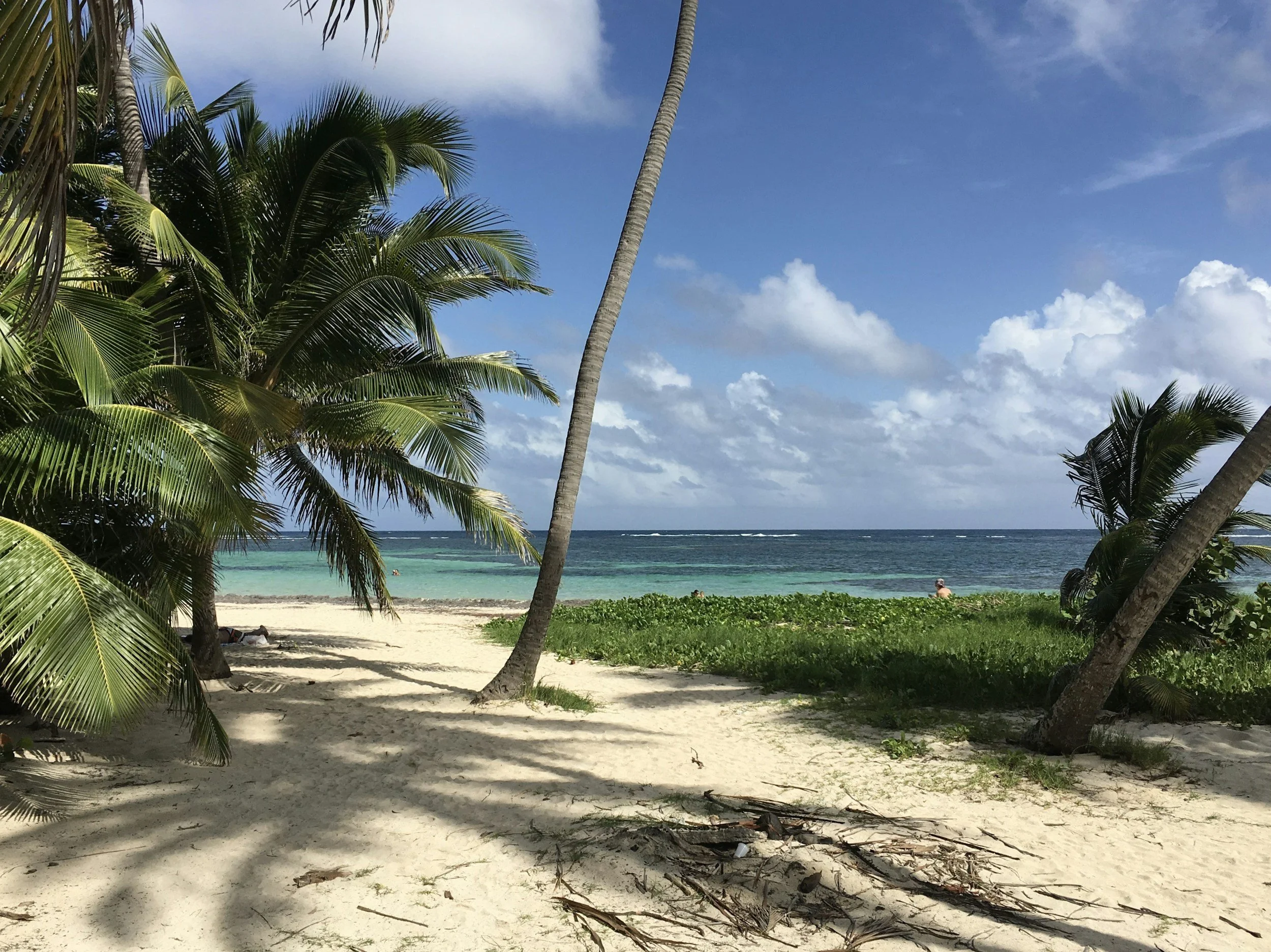 Tropical beach scene with white sand, green palm trees, and the ocean with blue sky and clouds in the background.