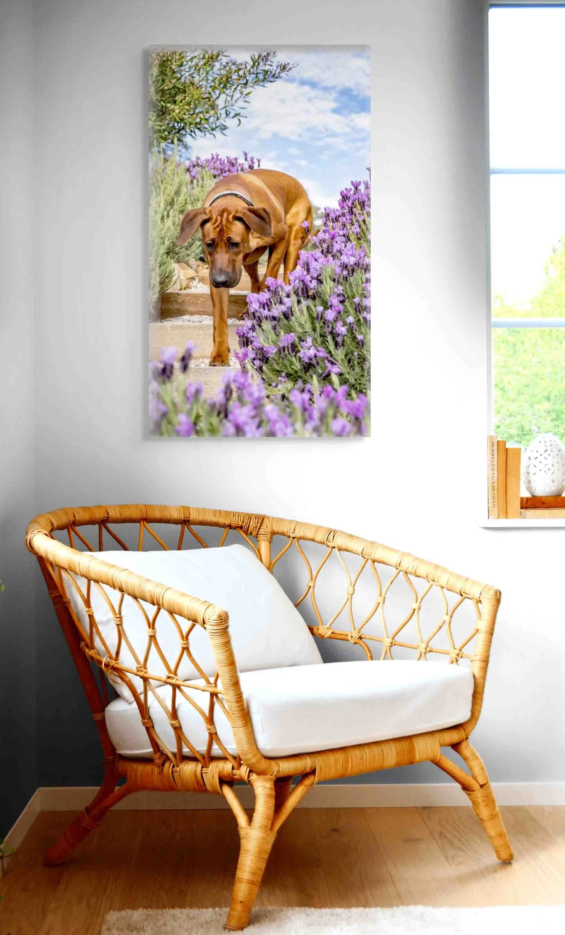 A colorful painting of a brown dog walking amidst purple lavender flowers on a wall in a bright living room.