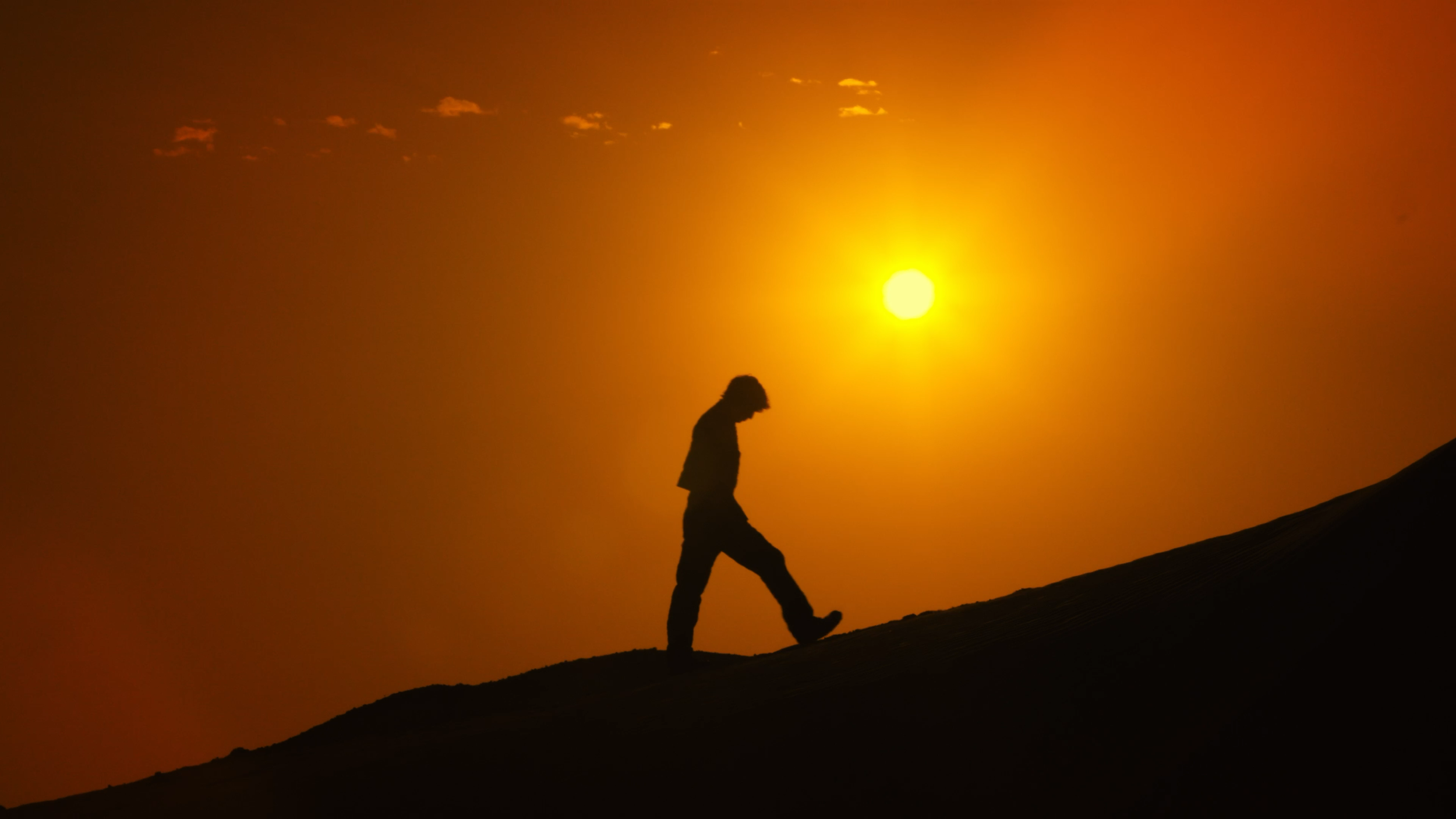 Reflections - Alexander Allen