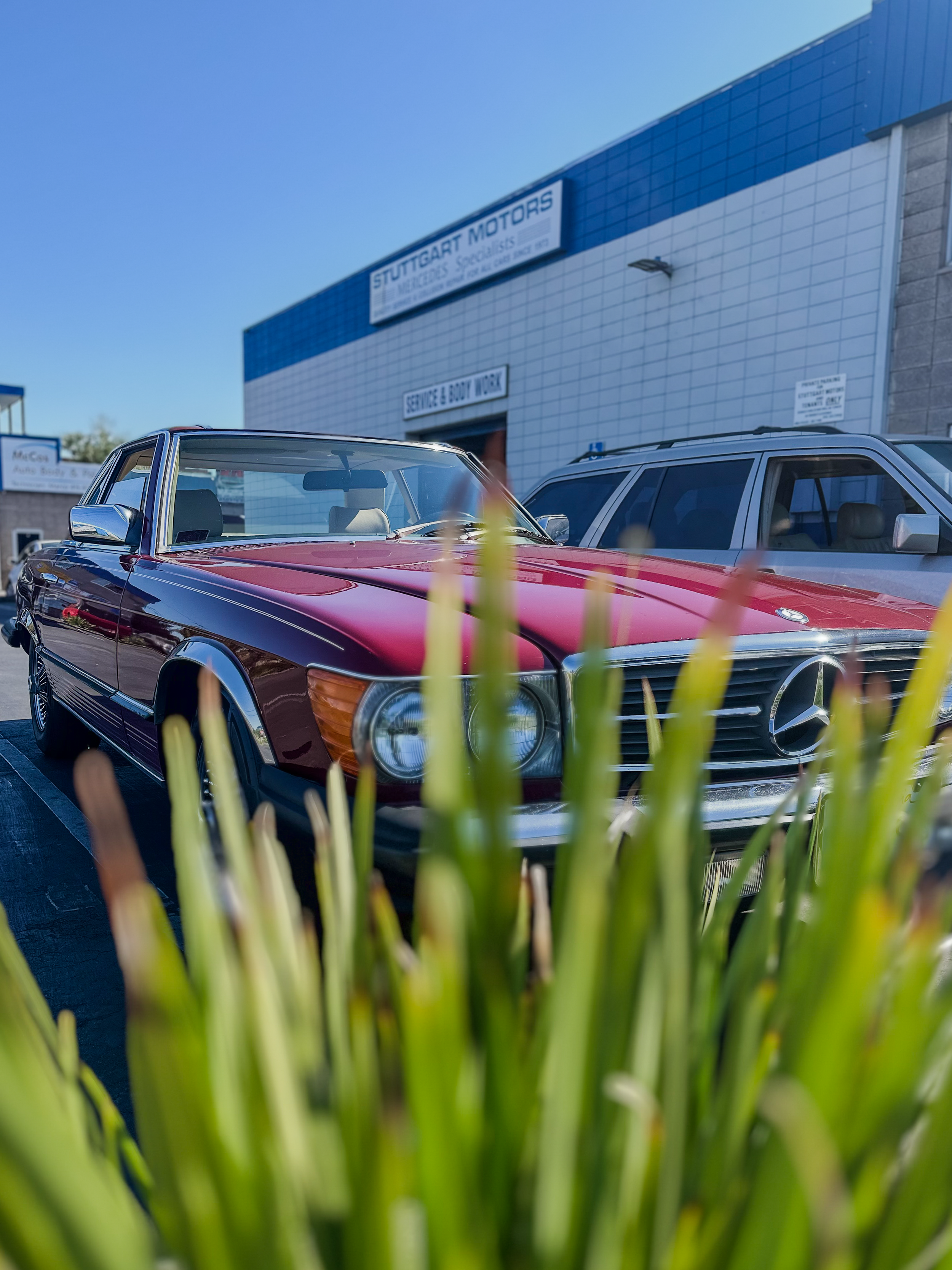 Close-up view of a vintage red Mercedes-Benz car parked outside a dealership with a sign for Stuttgart Motors, with green plants in the foreground and another vehicle partially visible nearby.