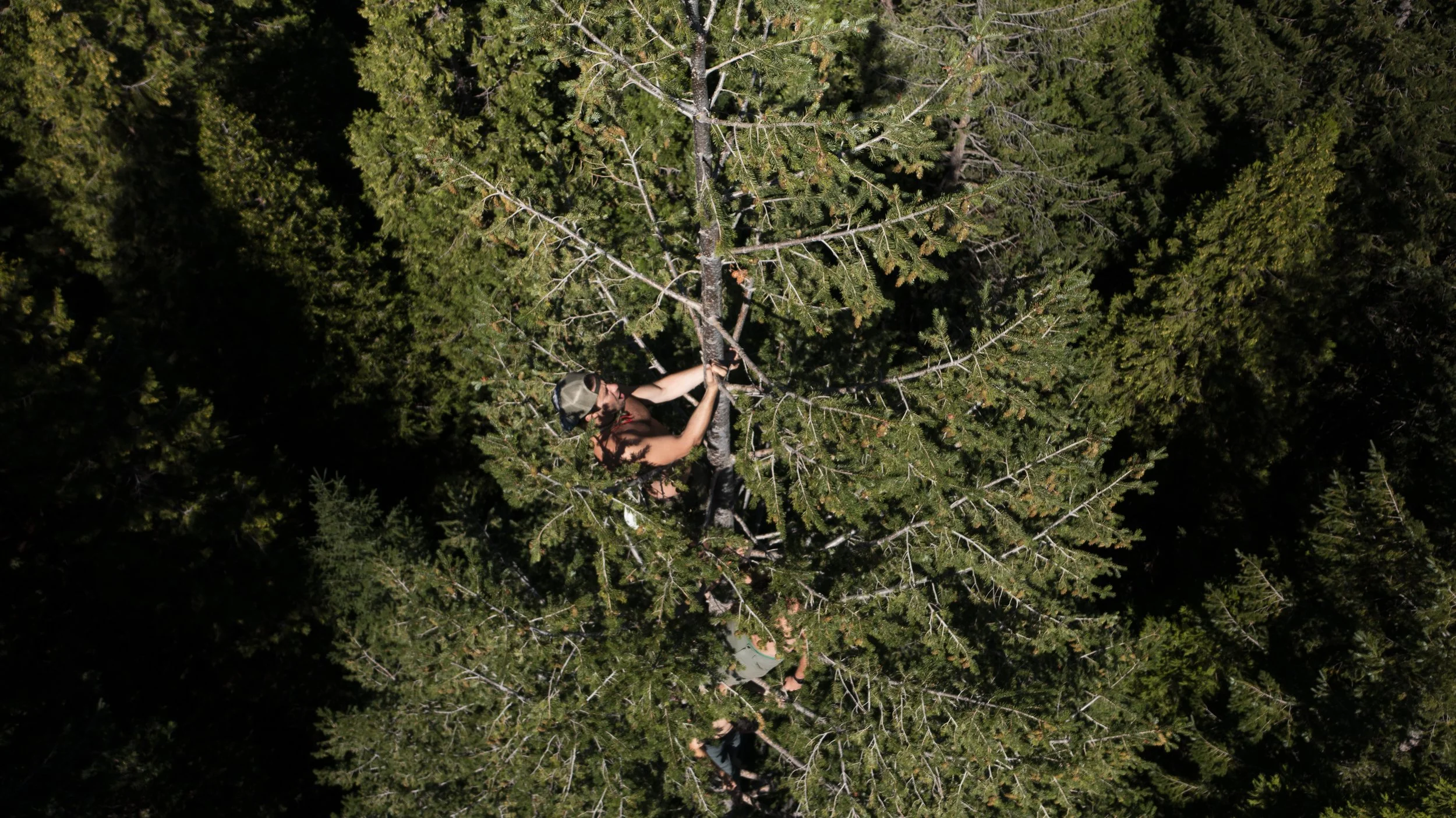 TRACKING YOUR WILDERNESS