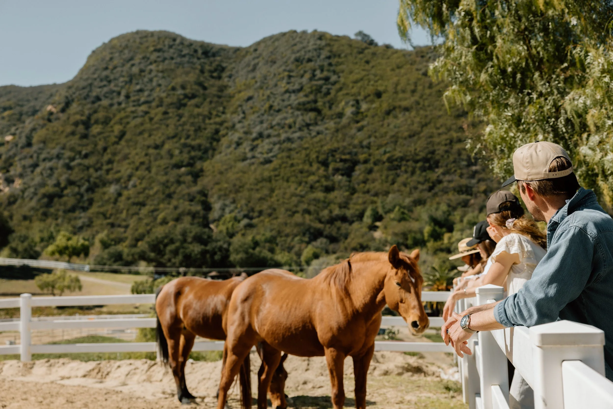 Old Canyon Stables 2025.90.jpg