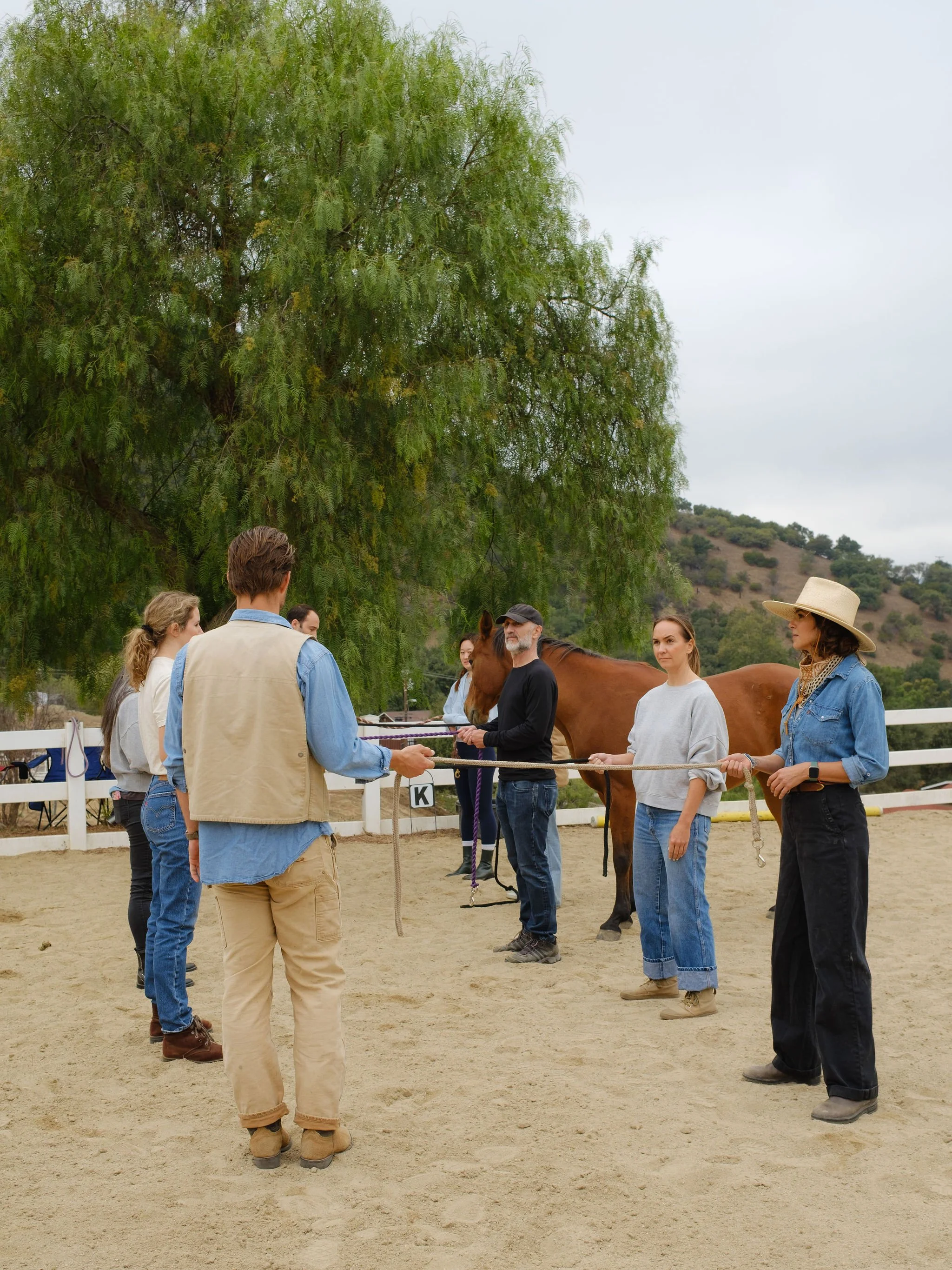 EQUINE COMMUNITY GROUP