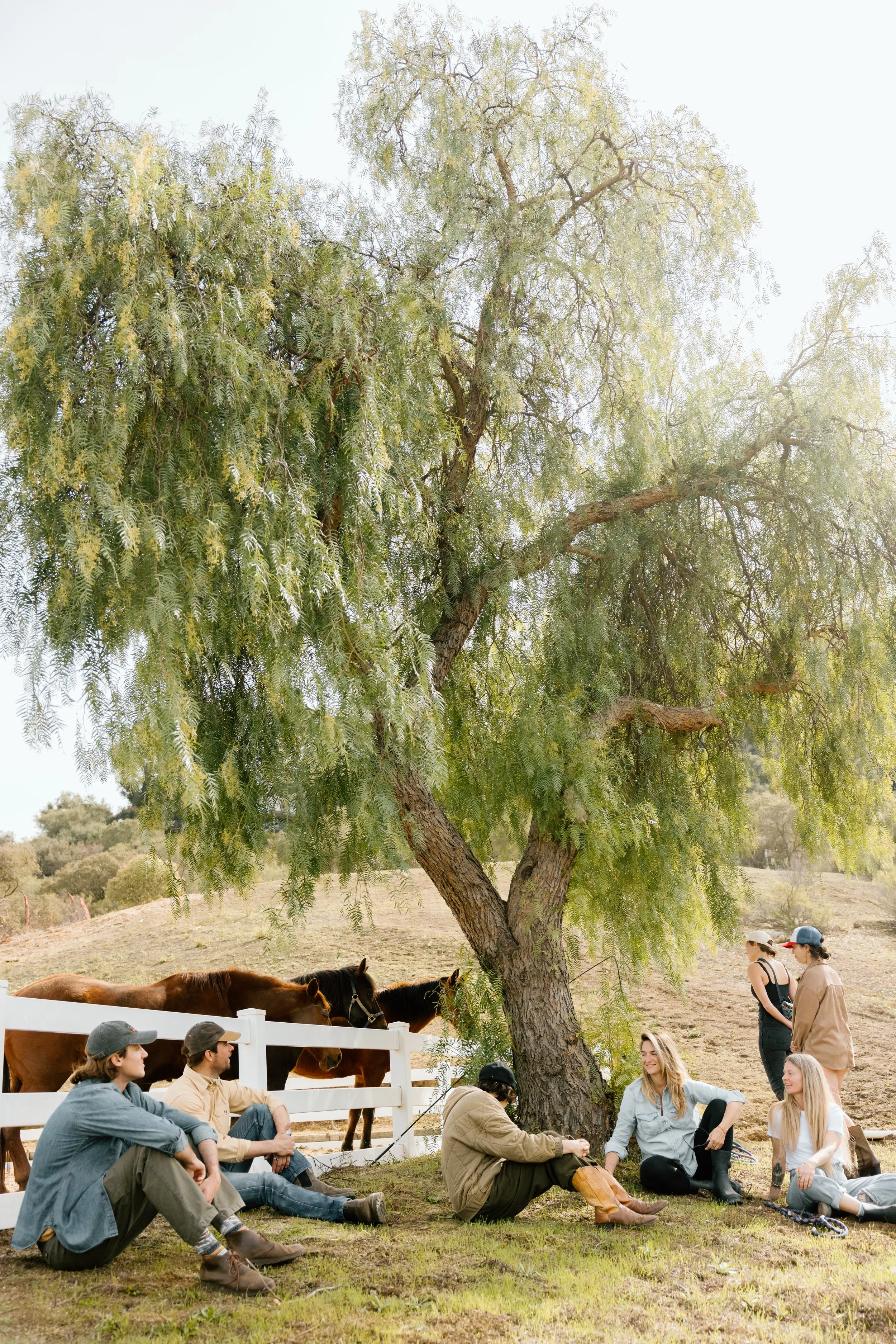 Old Canyon Stables 2025.24.jpg