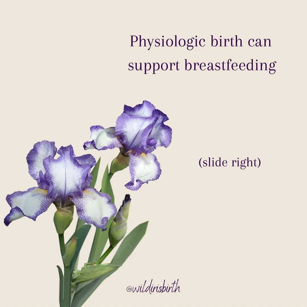 Physiologic birth and breastfeeding magic ✨  #alaskabirth #breastfeedingmama #physiologicalbirth #unmedicatedbirth