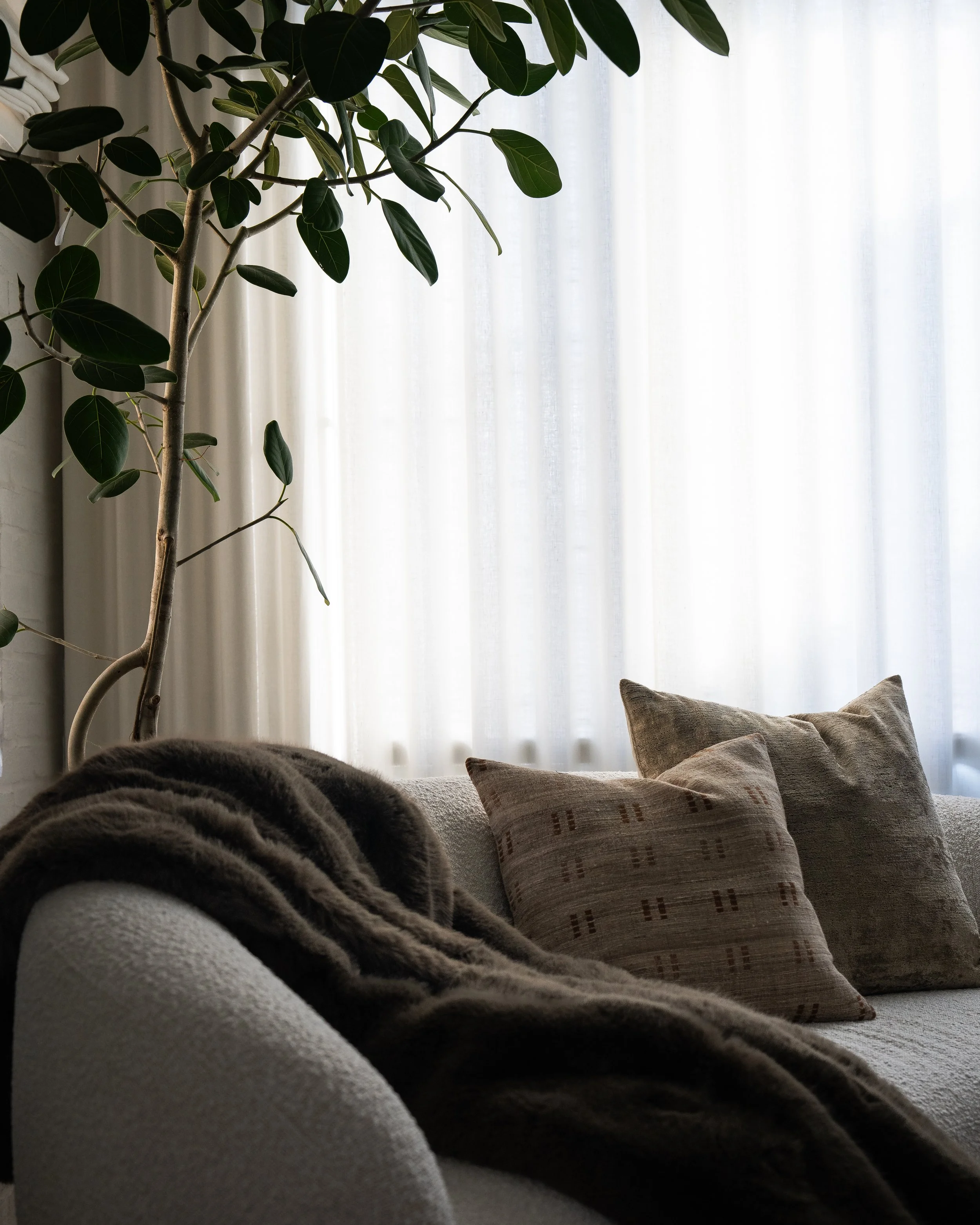 Living room with a large houseplant next to a window with white sheer curtains, a gray sofa, and throw pillows.
