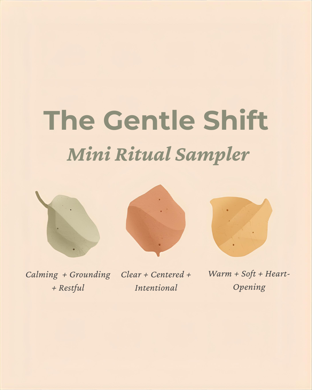 The Intention Sampler (1).png