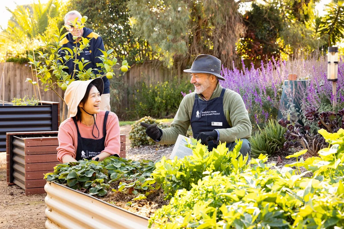 Three people in a garden, two sitting and smiling at each other, one standing in the background, all wearing gardening aprons, surrounded by lush plants and flowers, enjoying a sunny day.
